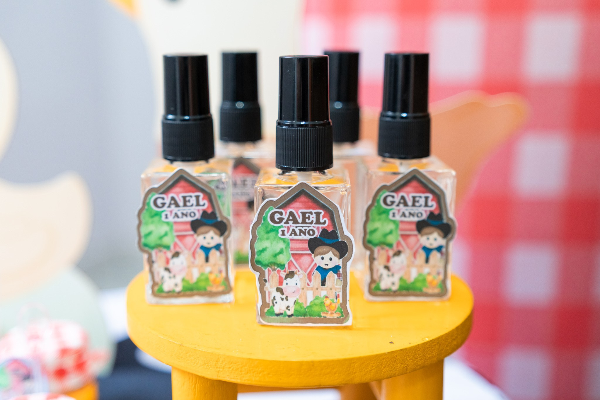 Gael 1 ano — 21/12/2024. Luiz Medeiros Produções