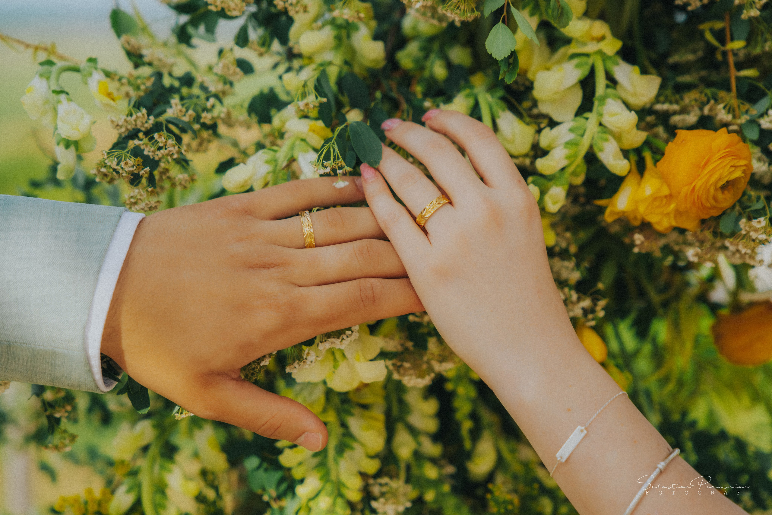 Love & Lemons. Sebastian Purusniuc Fotograf - Iasi