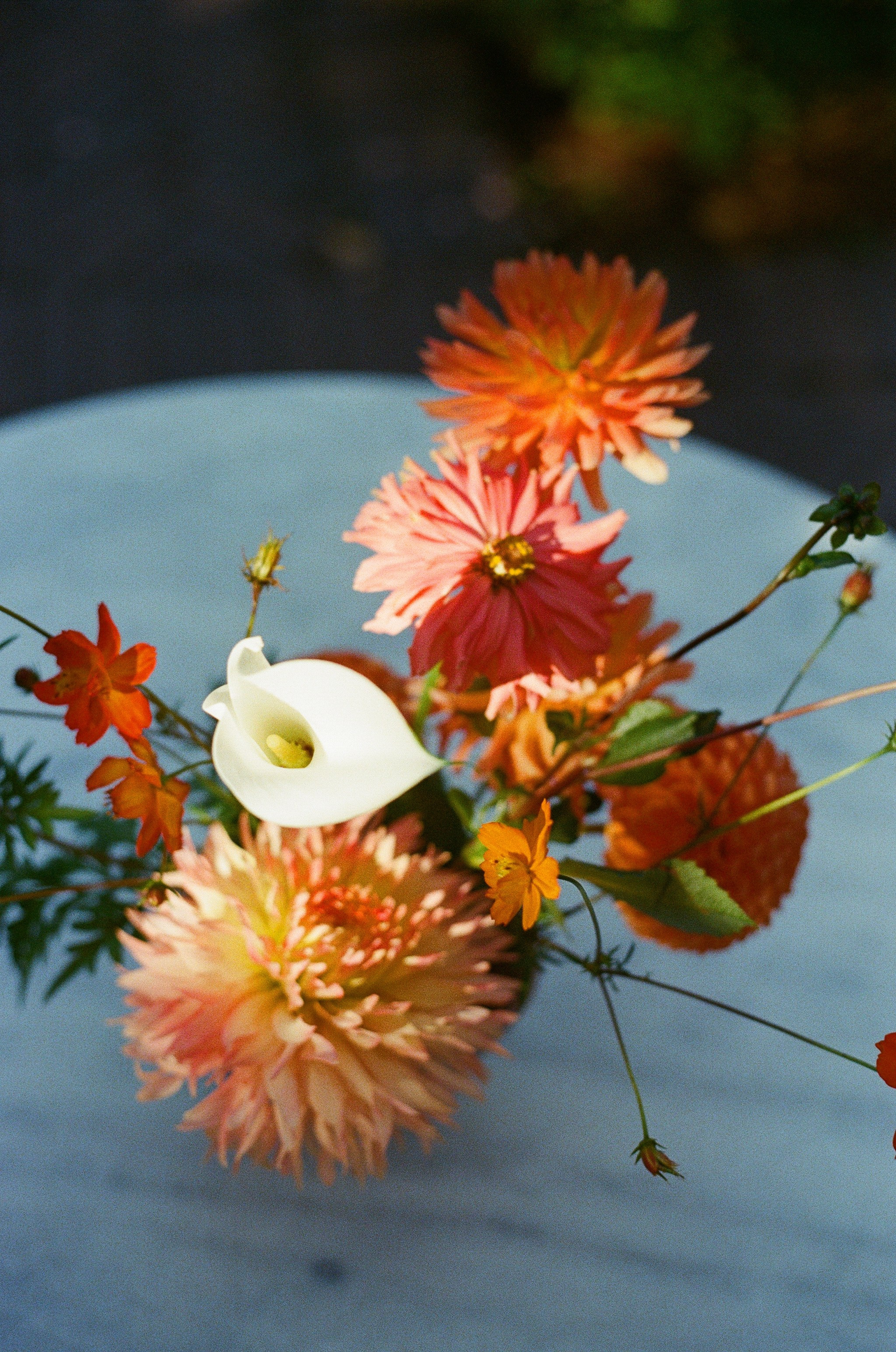 Ieva ir Rapolas. Misevic Wedding — Jausminga ir Profesionali Vestuvių Fotografija