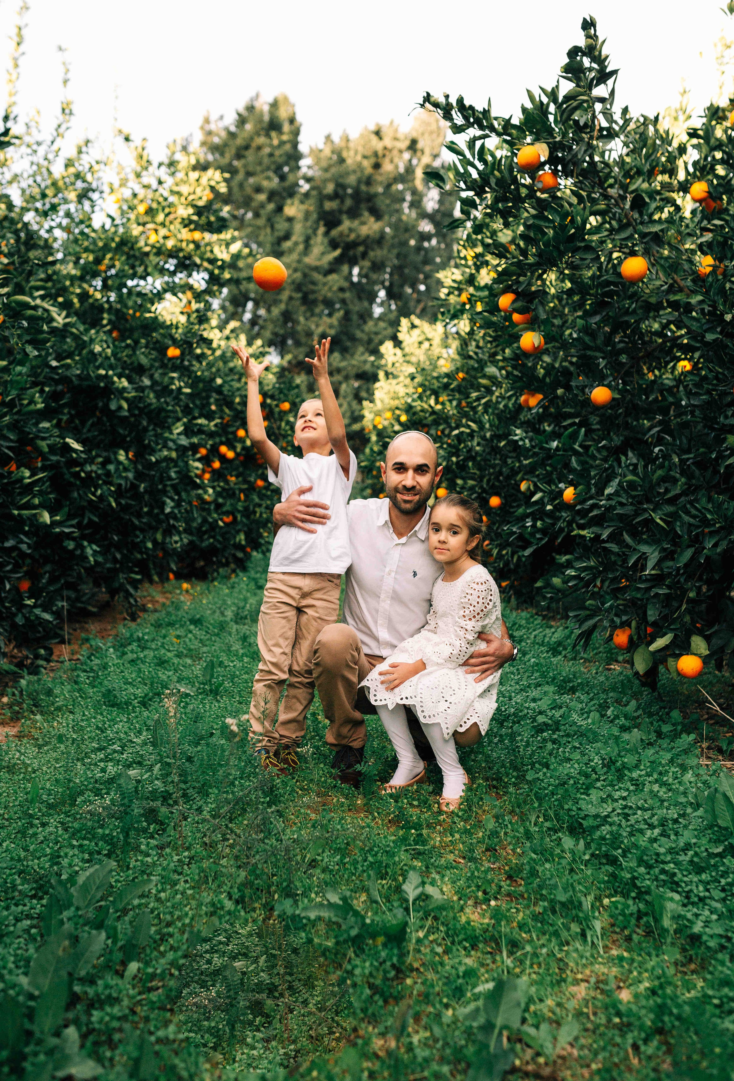 MANDARNINE GARDEN. Https://shi-photo.com/