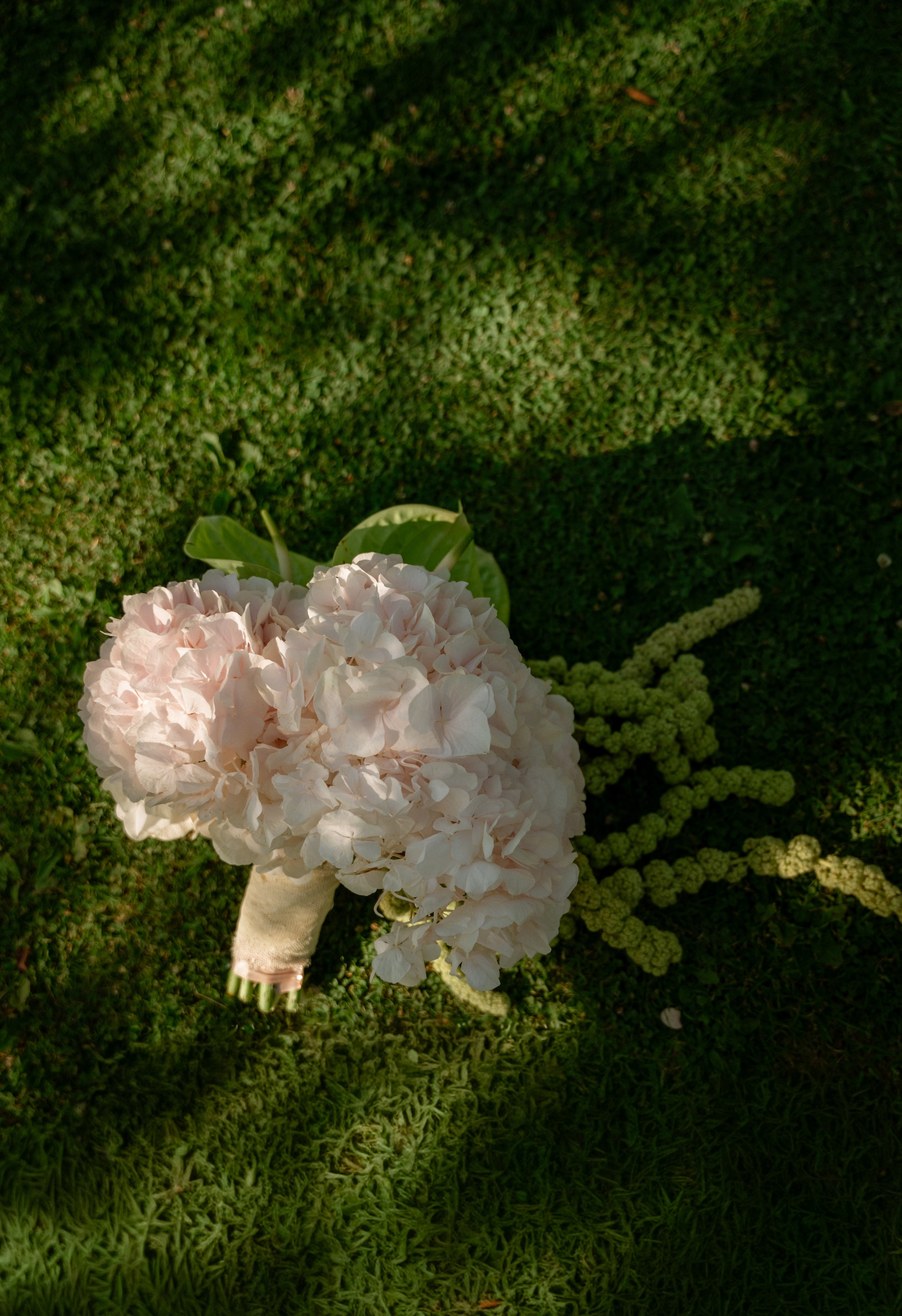 Wedding Thor and Julie