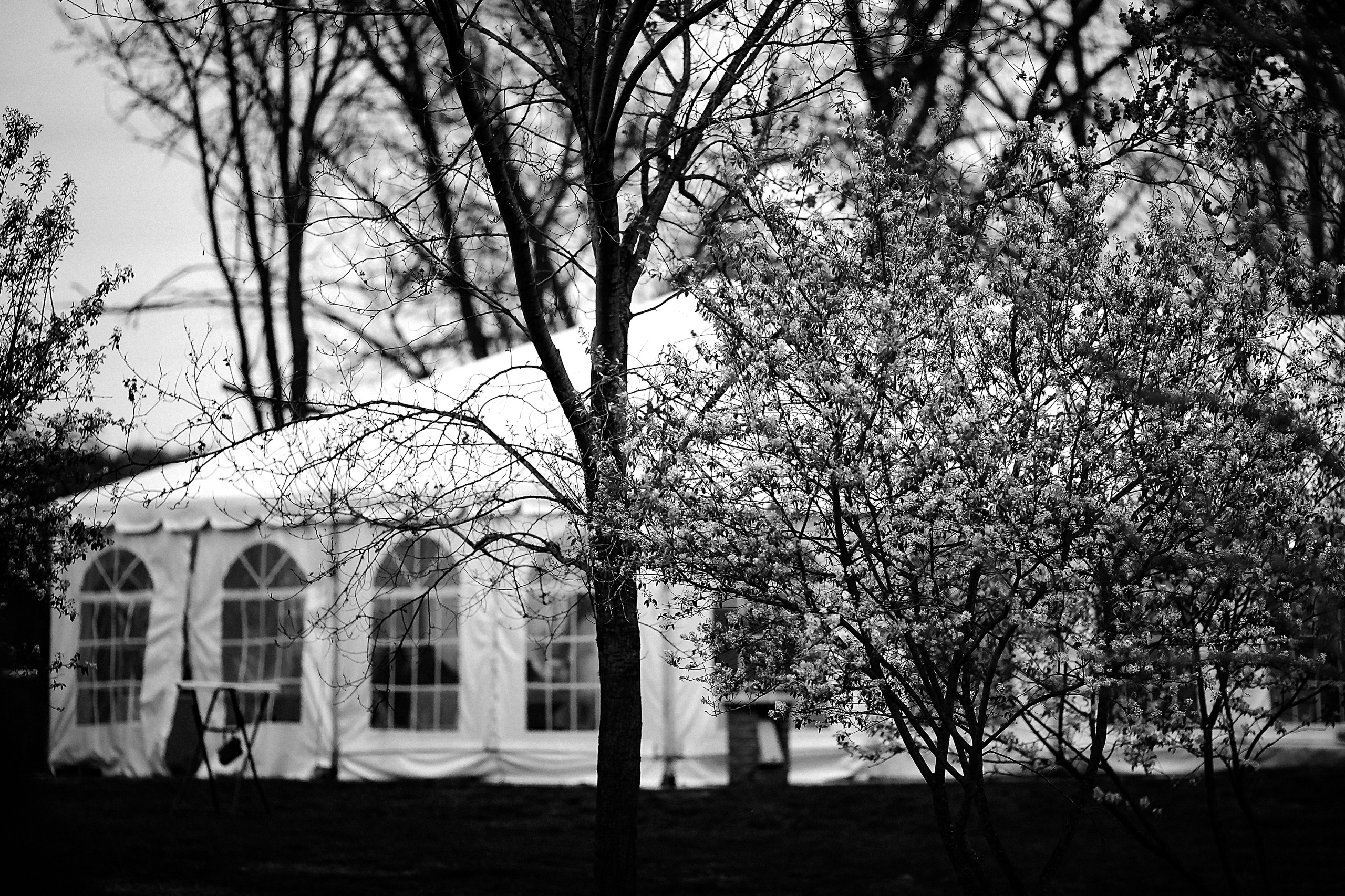 Фотограф в Ирландии Дублин свадьба утро фотки лучший топ свадебный красивая навес шатер