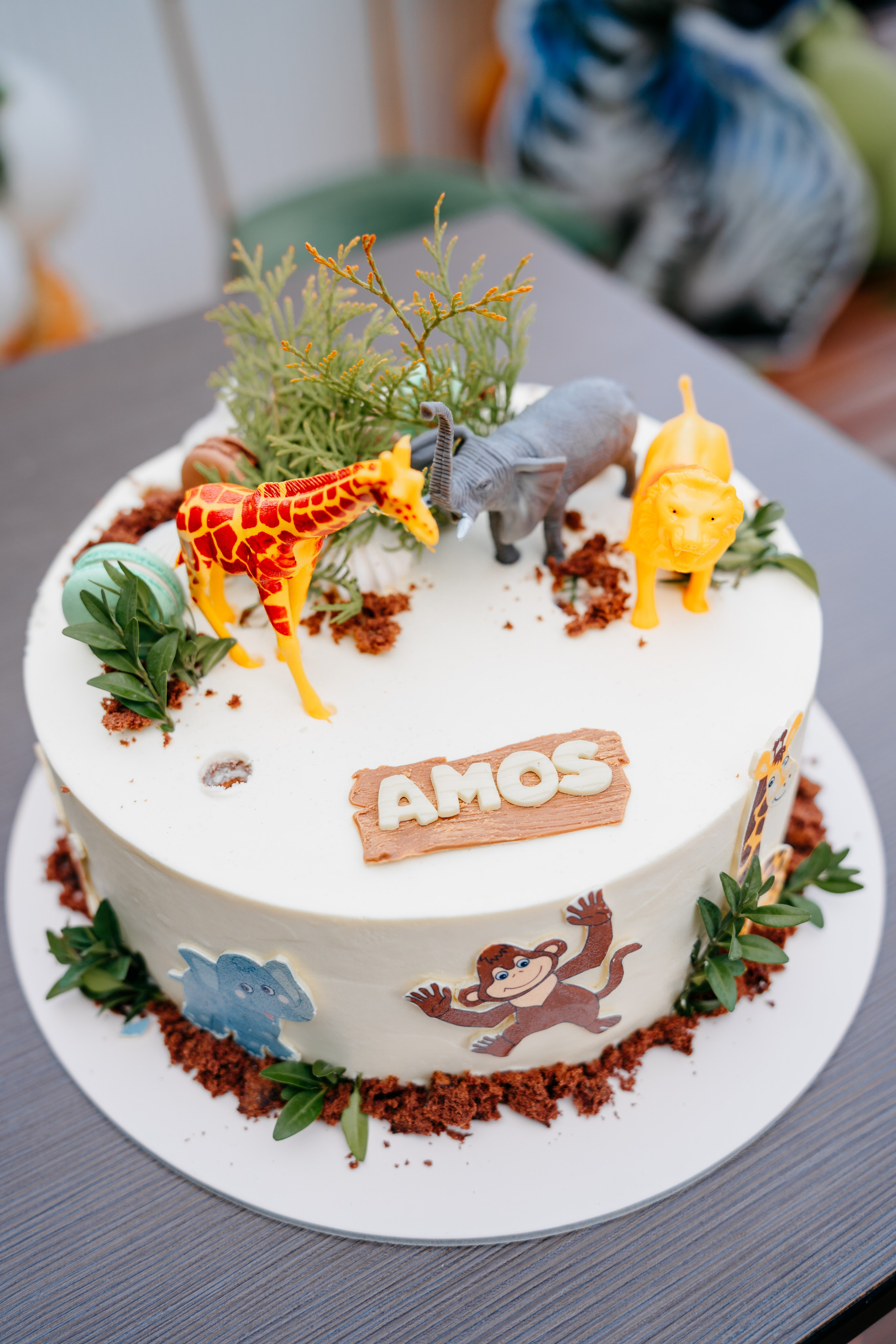 Amos' s 1st Birthday. Fotograf Nunta Iasi - Hearts & Pictures