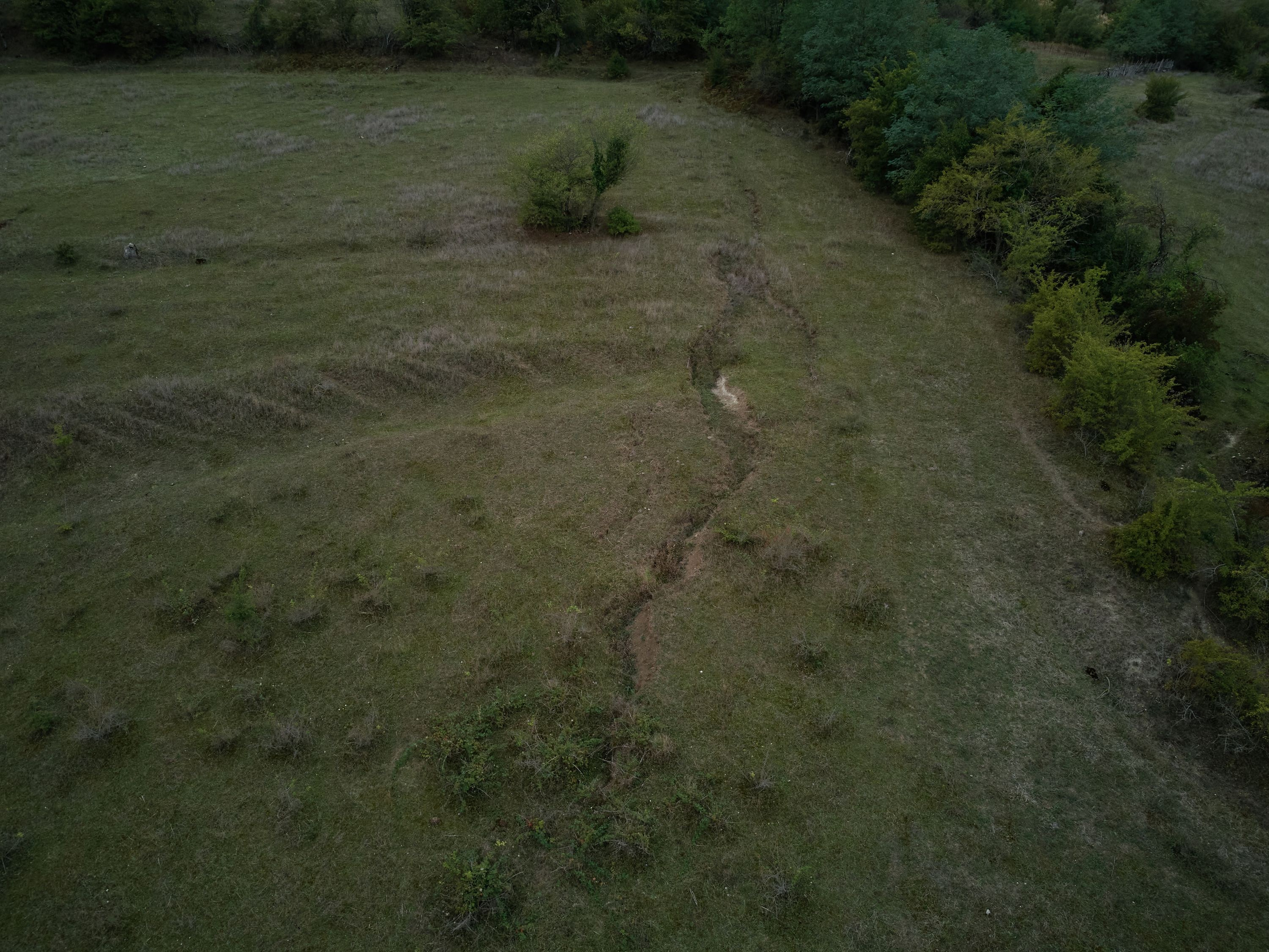 Scars of Shukruti. Egor Borie