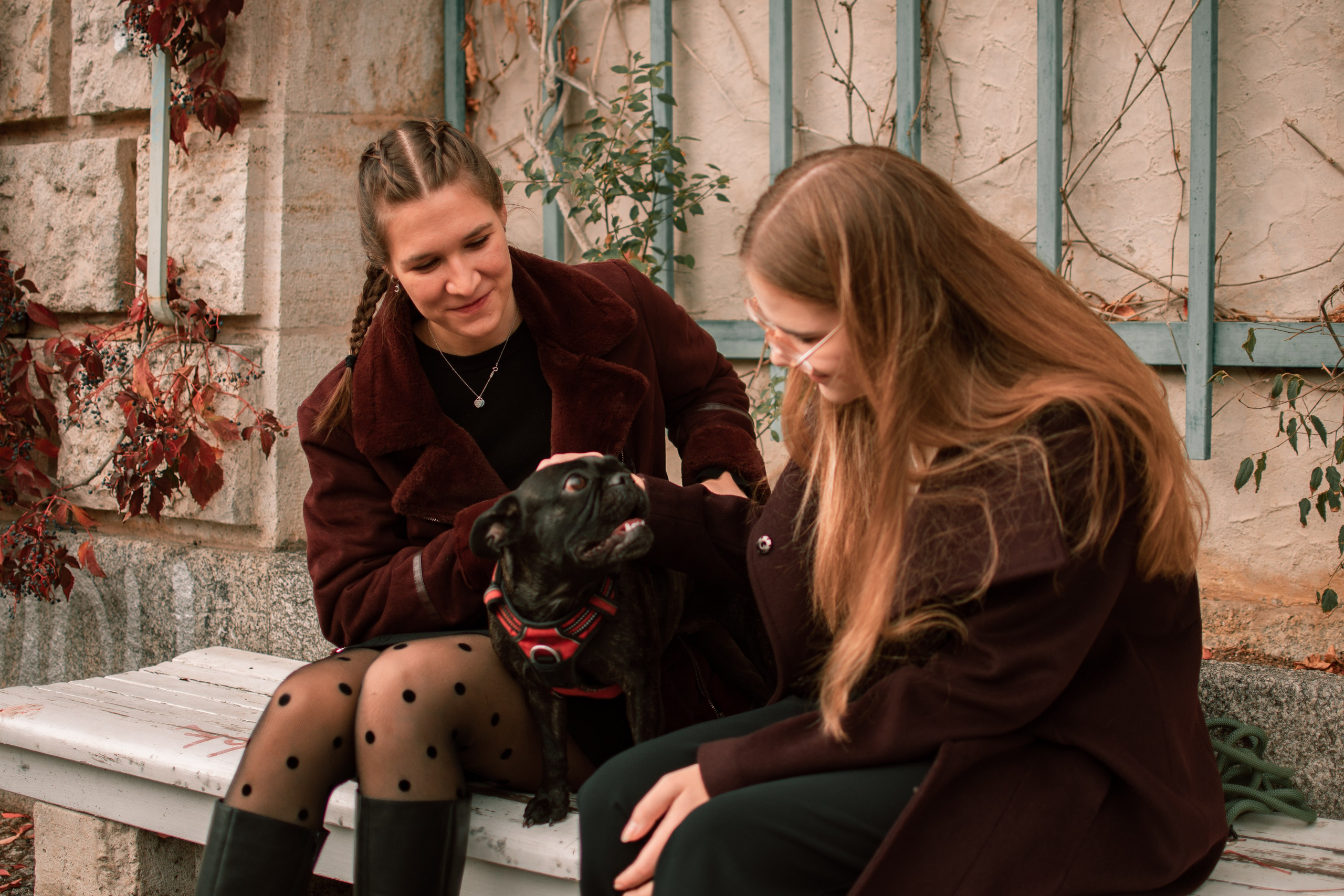 Осень. Семейный и детский фотограф
