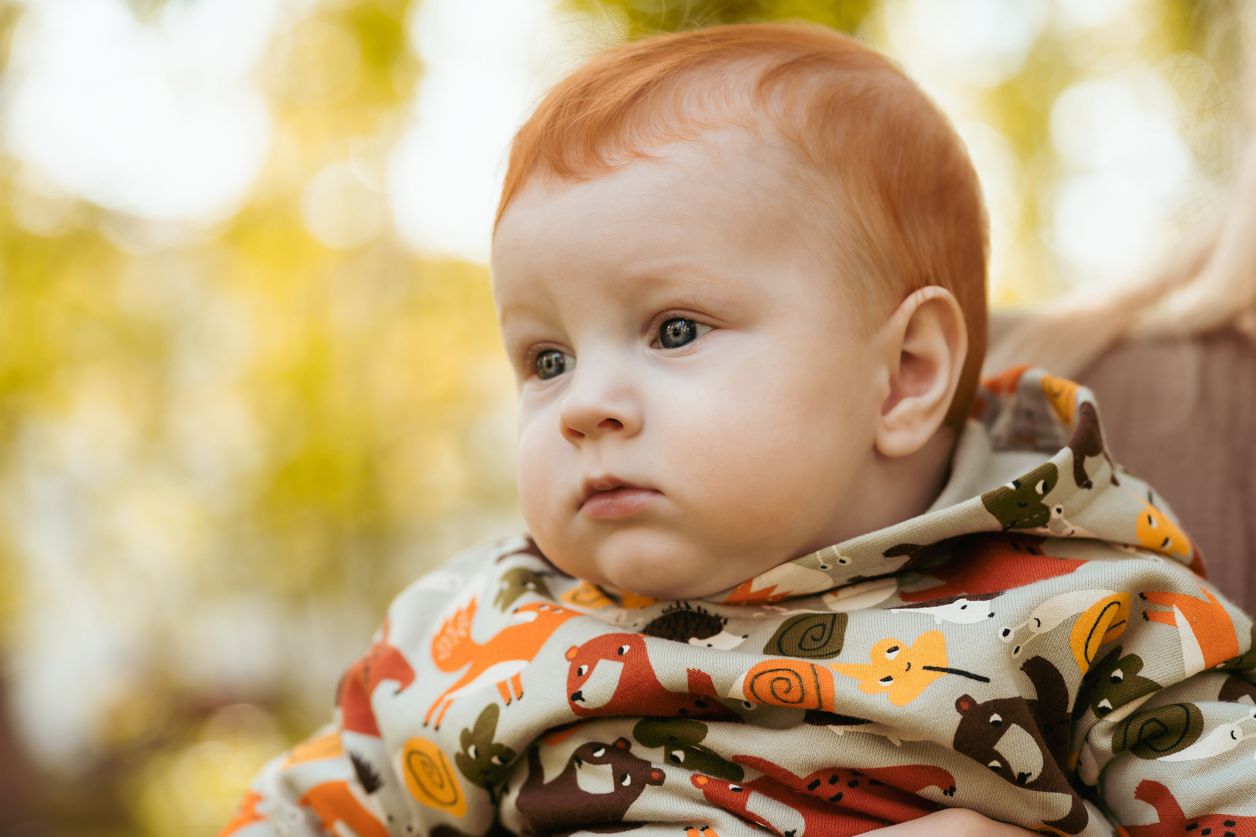 AUTUMN. Montenegro photographer and videographer