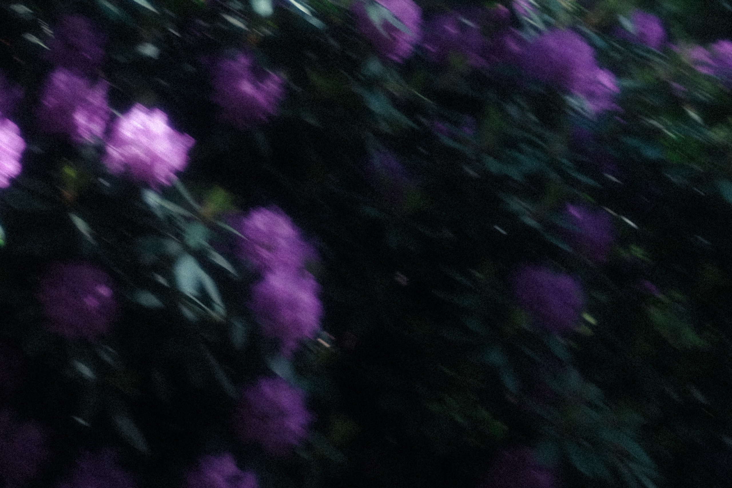 Somewhere between a dream and a fairytale ✨. Alena Iatkina — Fine Art Photographer