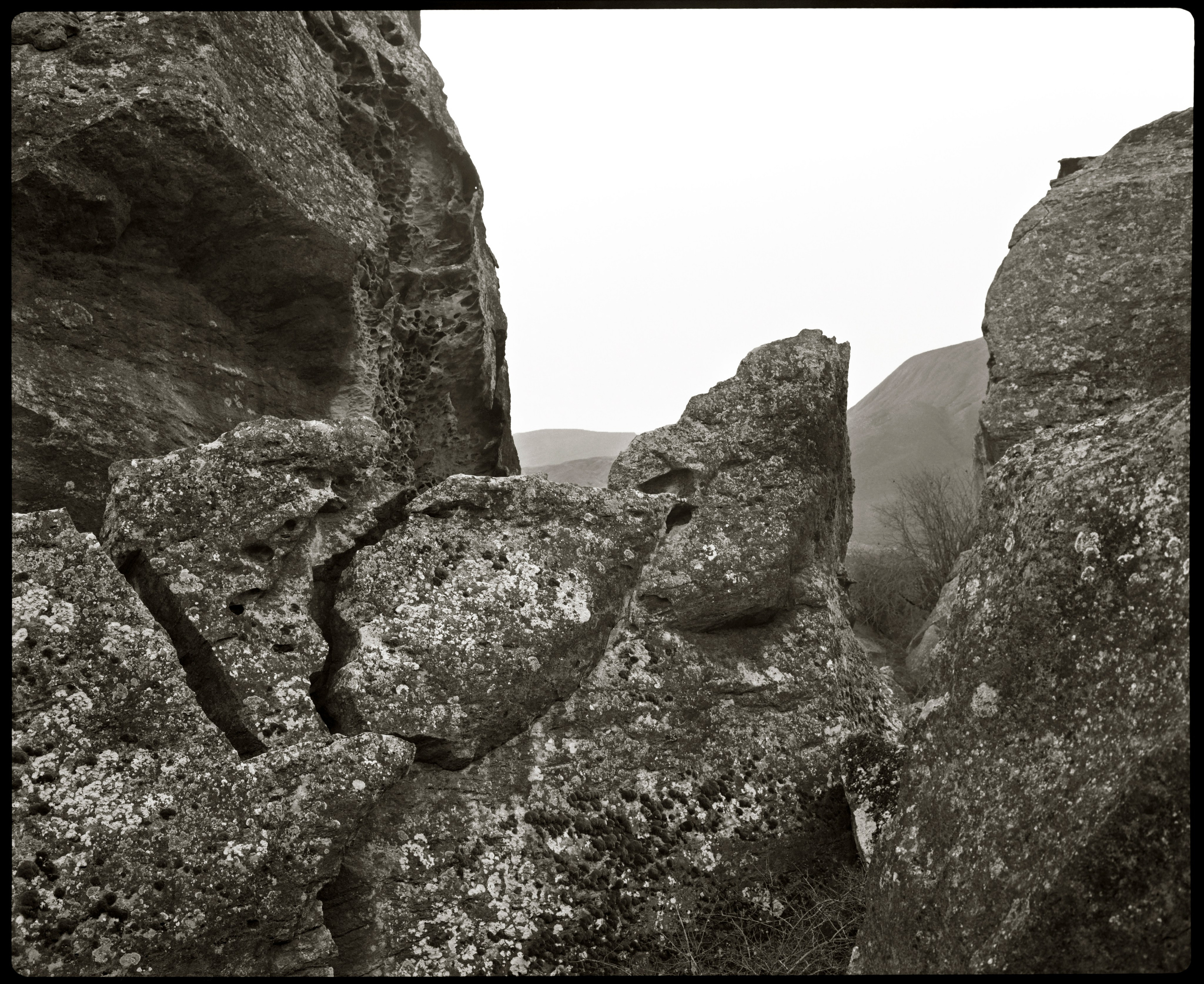 NATURE. Www.sananaleskerov.com