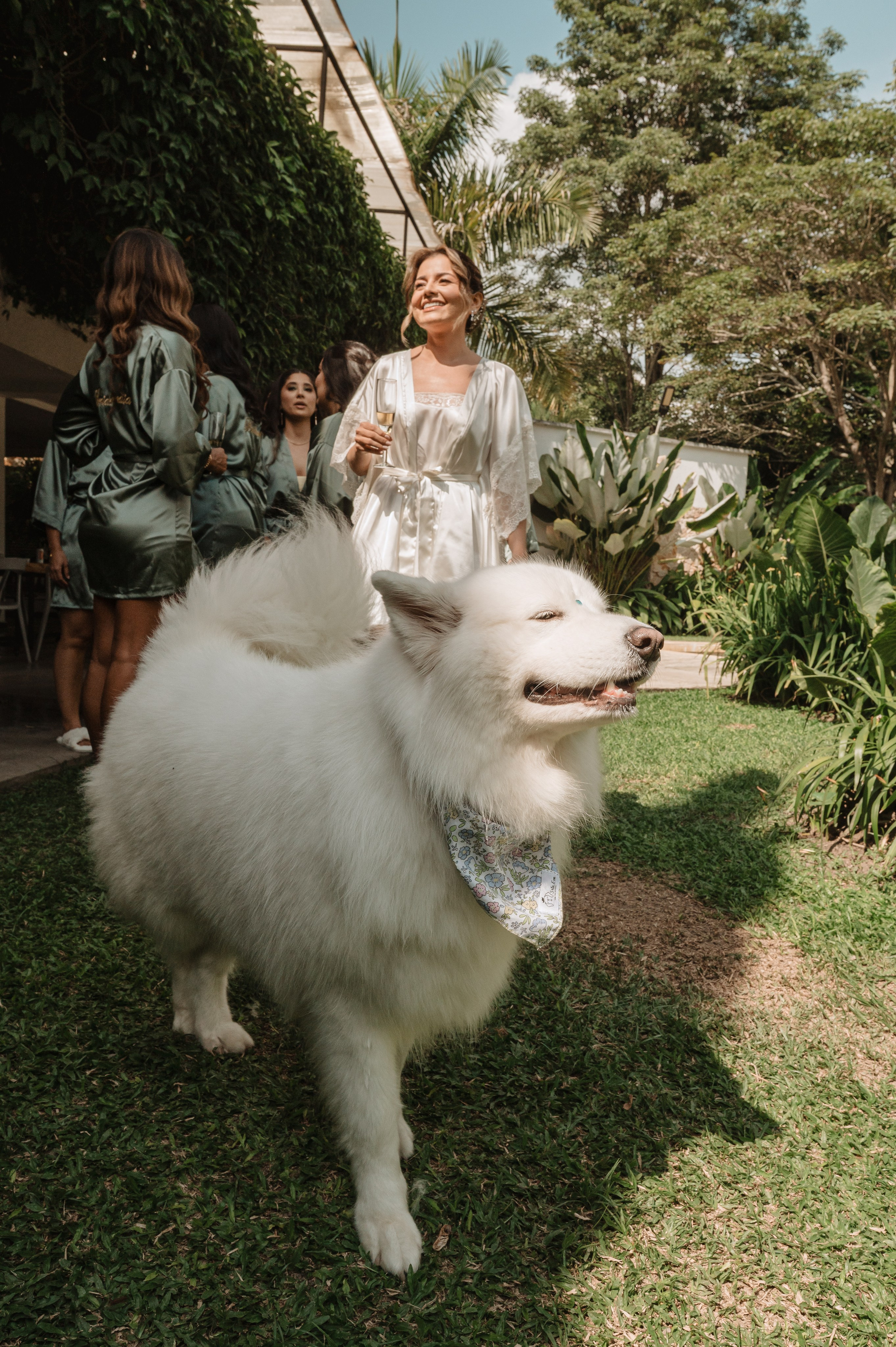 La Boda de Paola y Sebastián. Www.dresalgadophoto.com