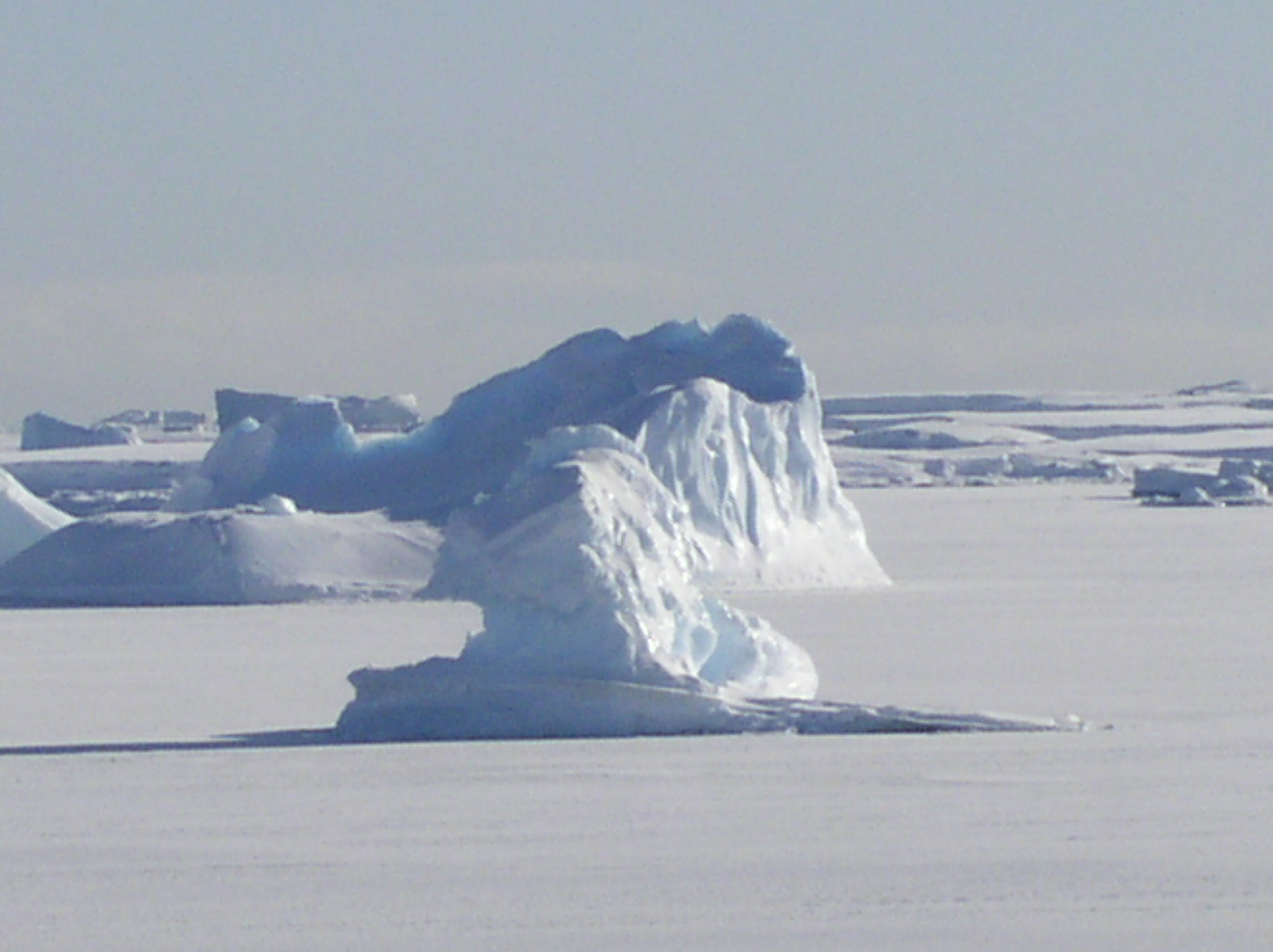ANTARCTICA. Reportage concert portrait photography in the San Francisco Bay Area
