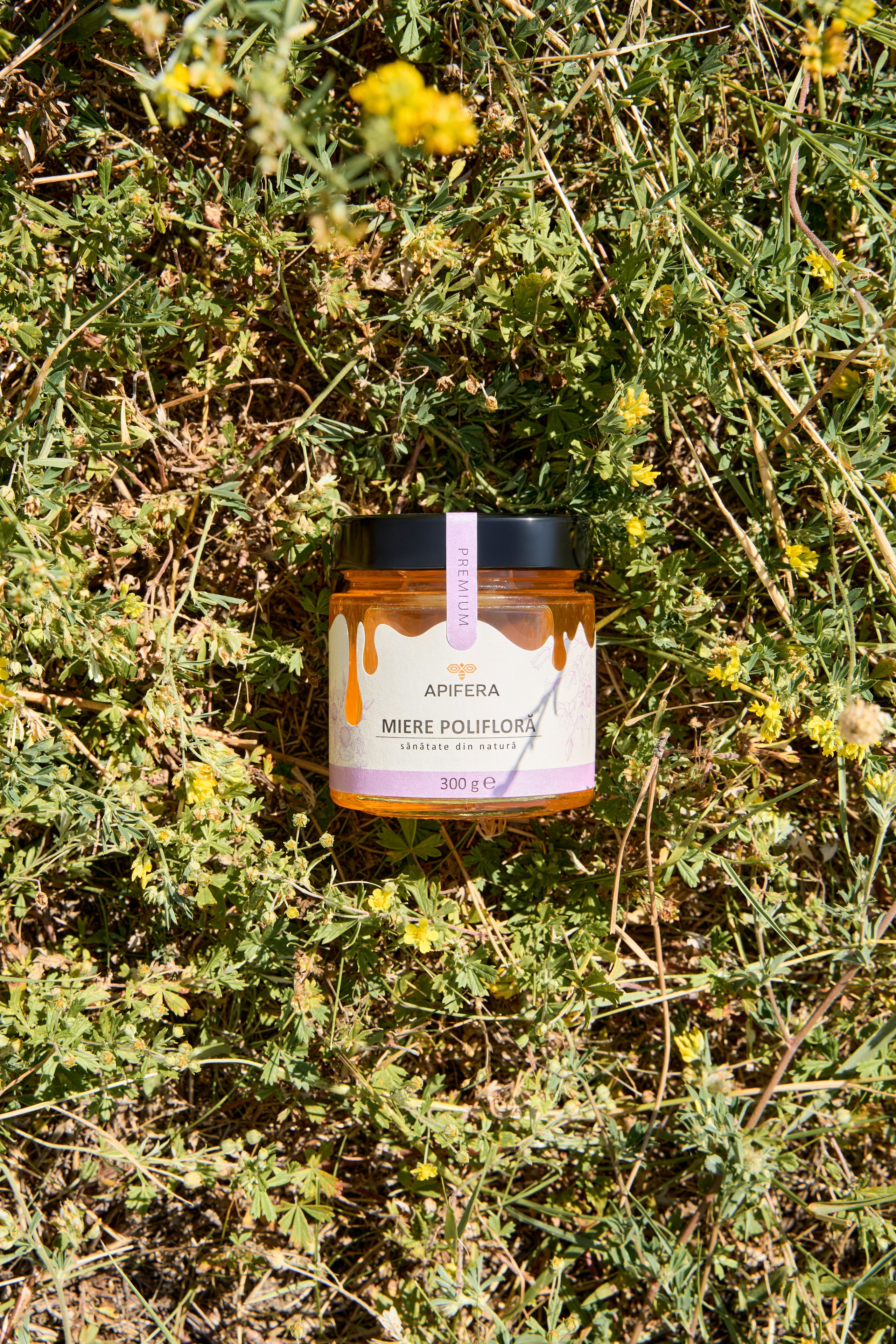 Apifera. Привет