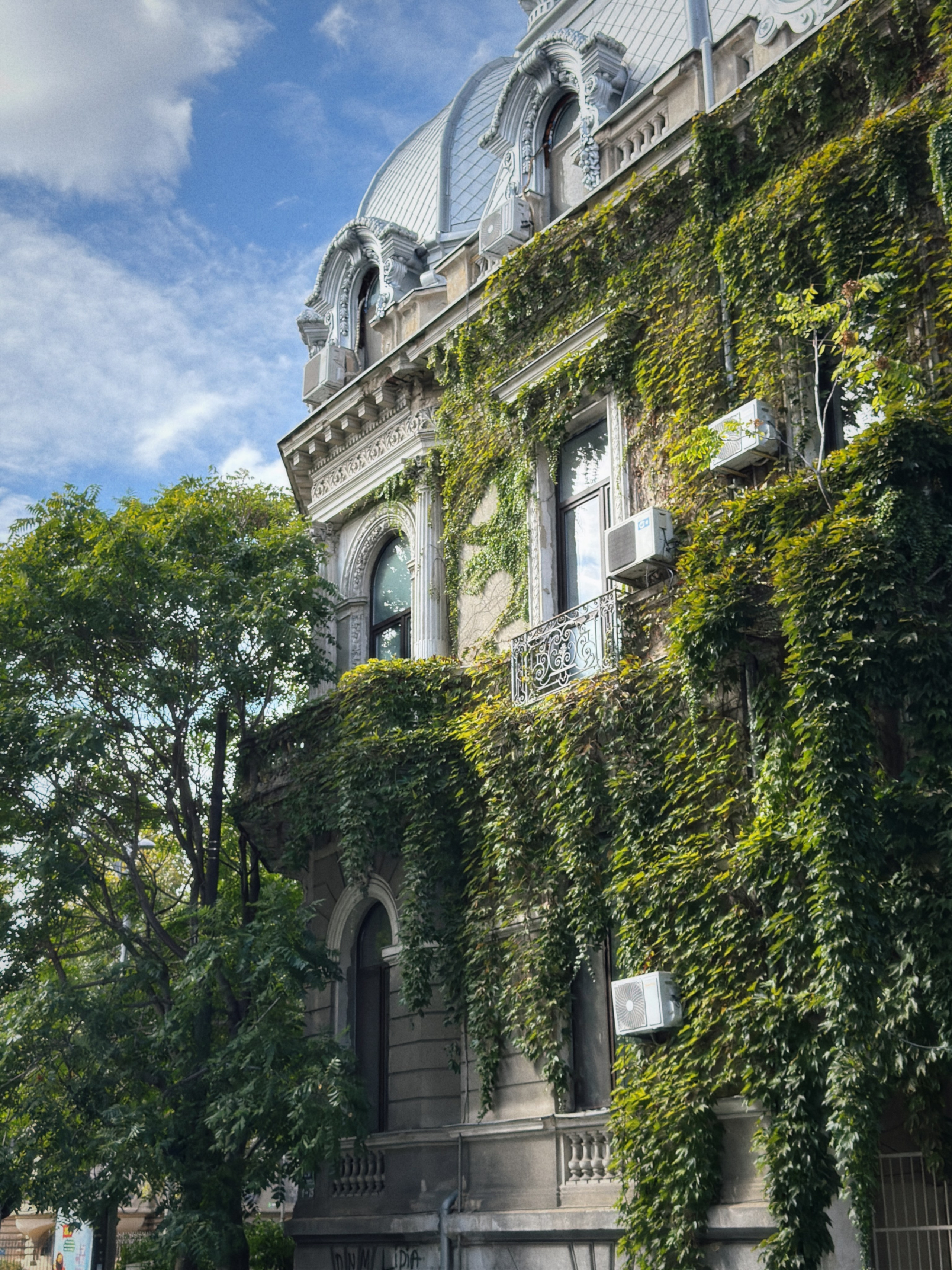 Моими глазами. Salut!