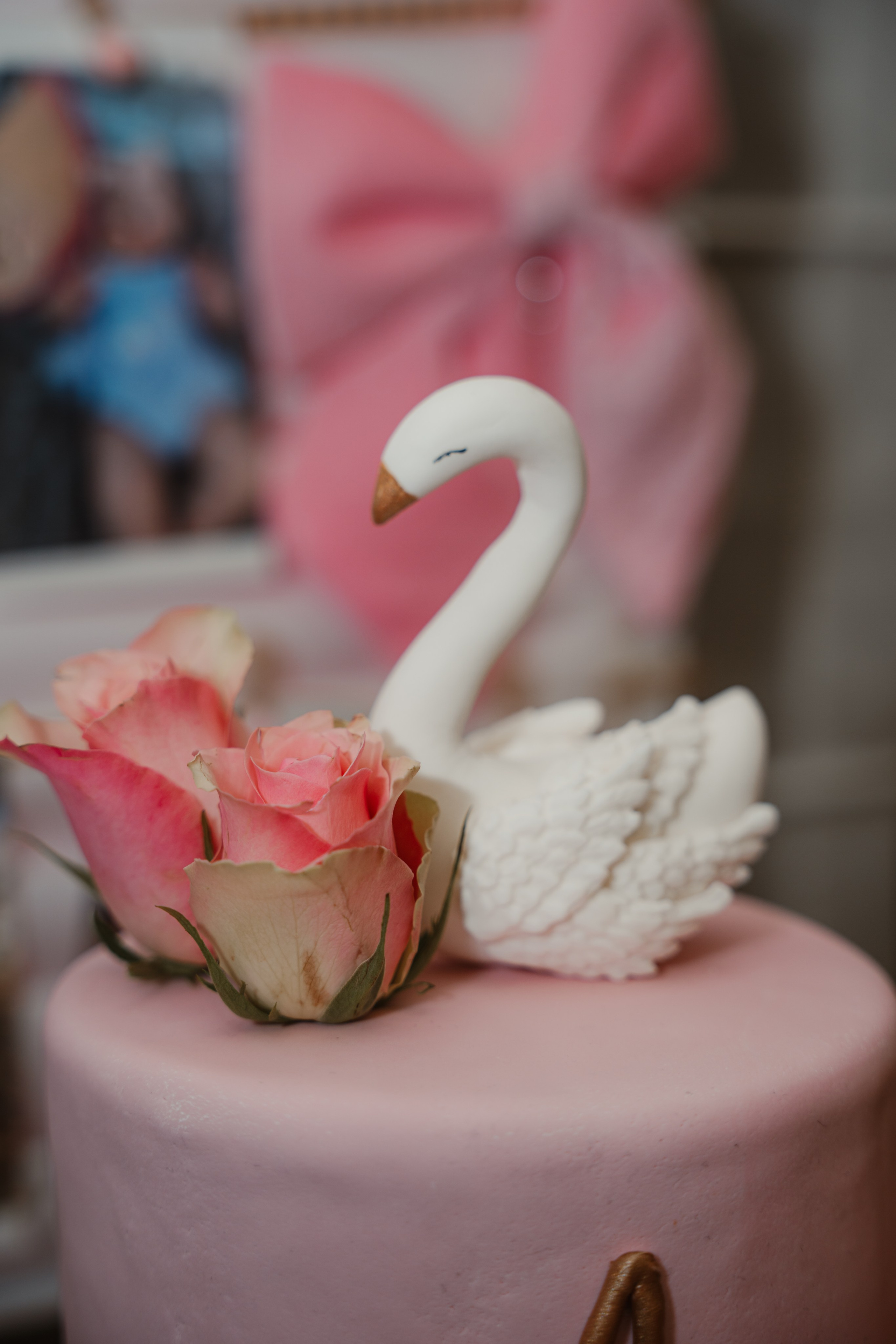 Roðendani. Porodični fotograf