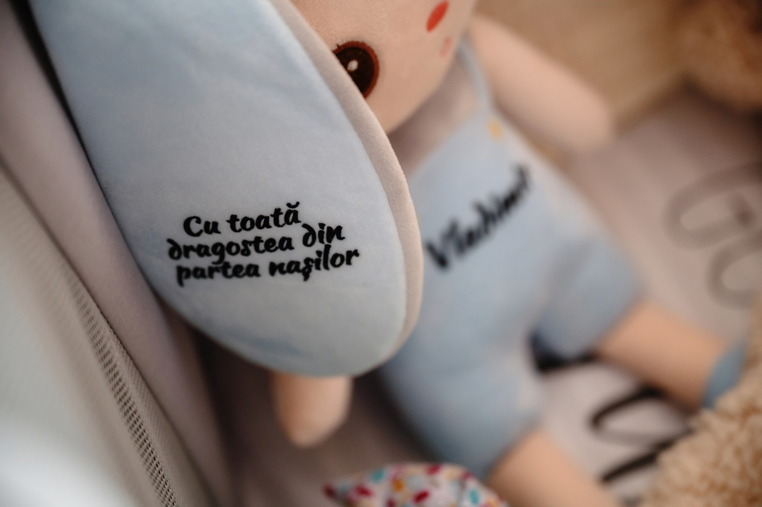 Povestea lui Vladimir. Laurentiu Stefan StoryTeller