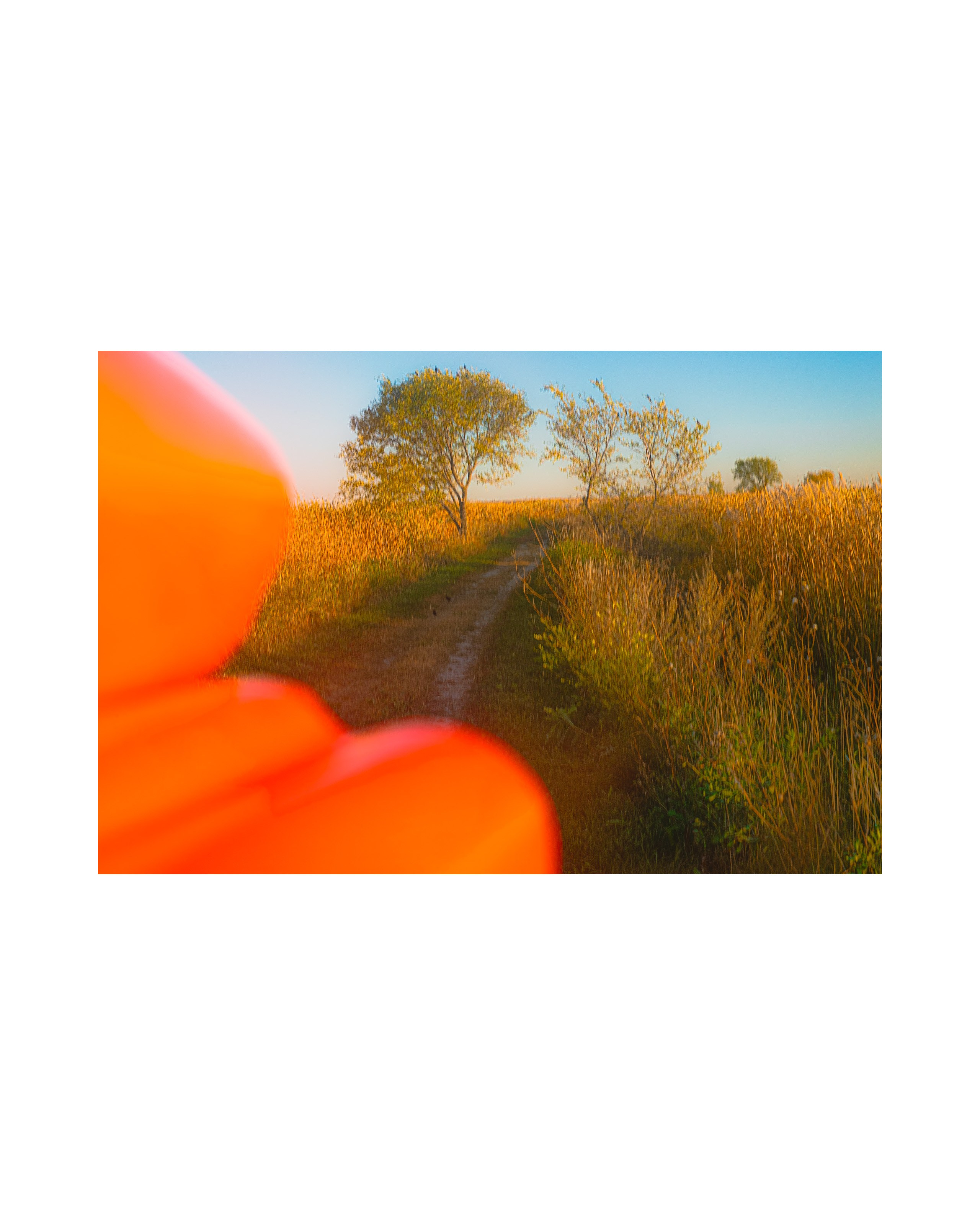 Nature from Exaggerated Worlds. Ekaterina Tsurkina-Appina Photography Canada