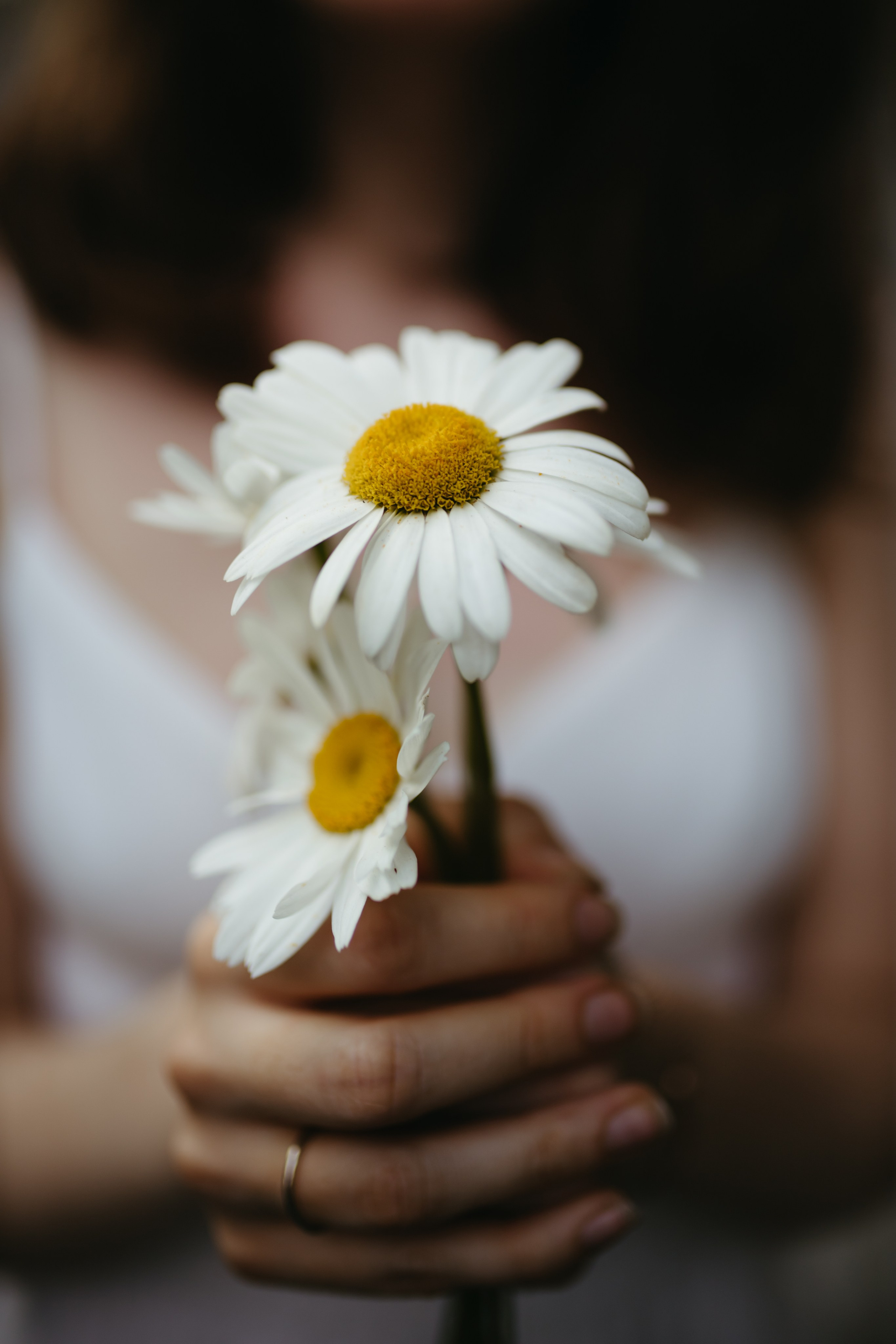 Свадебные фотографии в Хельсинки — портфолио | Антон Крот