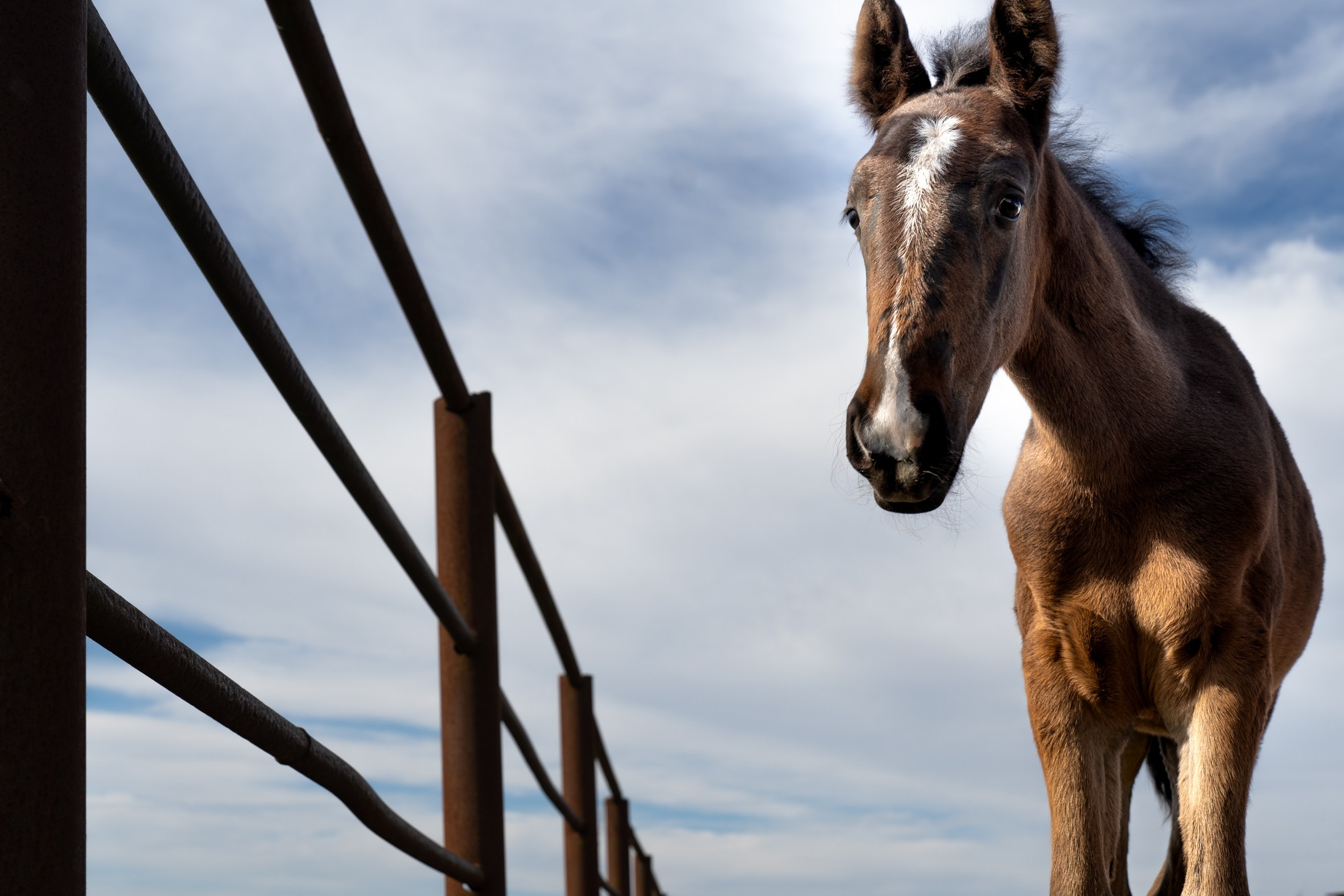 Мои работы. Фотограф в Кишиневе, Чадыр-Лунге, в Комрате Ковалева Зинаида