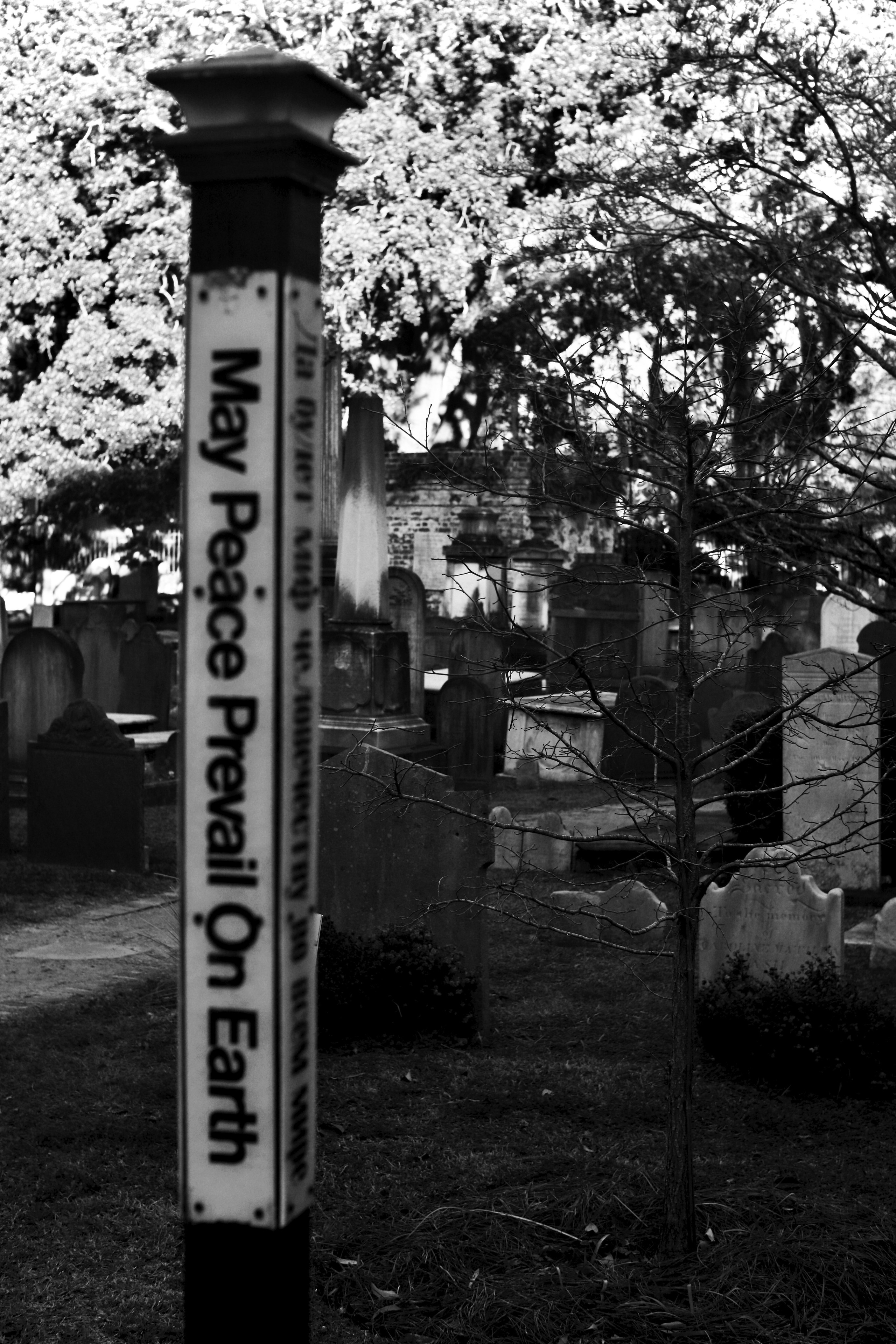 Monochrome. Sonny Photos