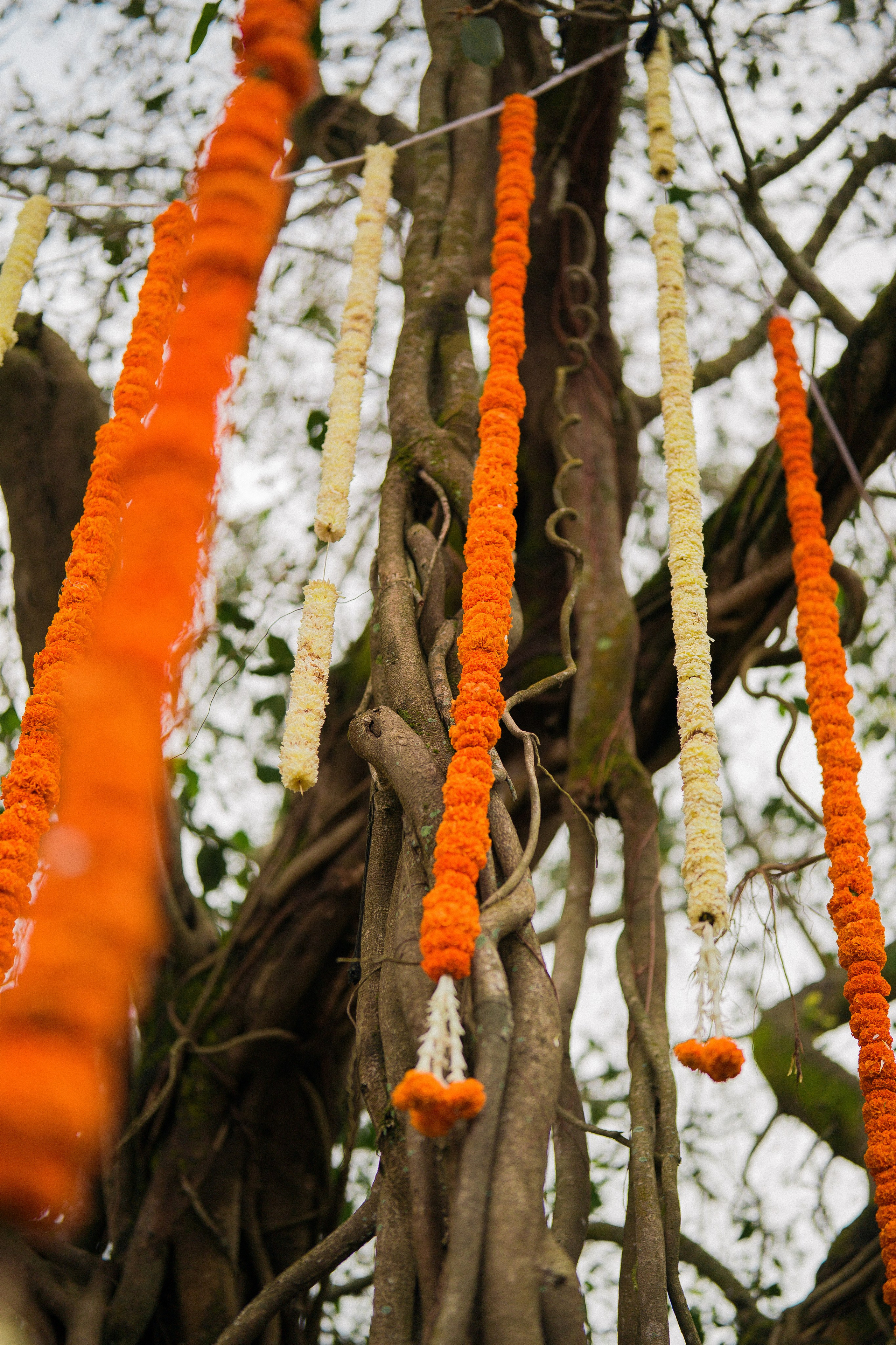 NICKHIL & ANVITA. Wedding photographer Avira Stories