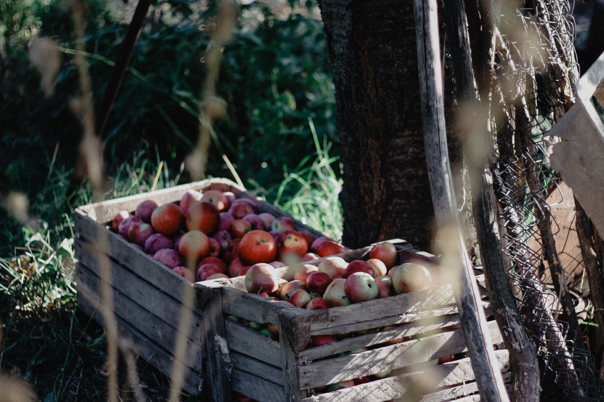 Producto. Fotógrafo Torrevieja, Costa Blanca, Alicante, Madrid, España, Leyla