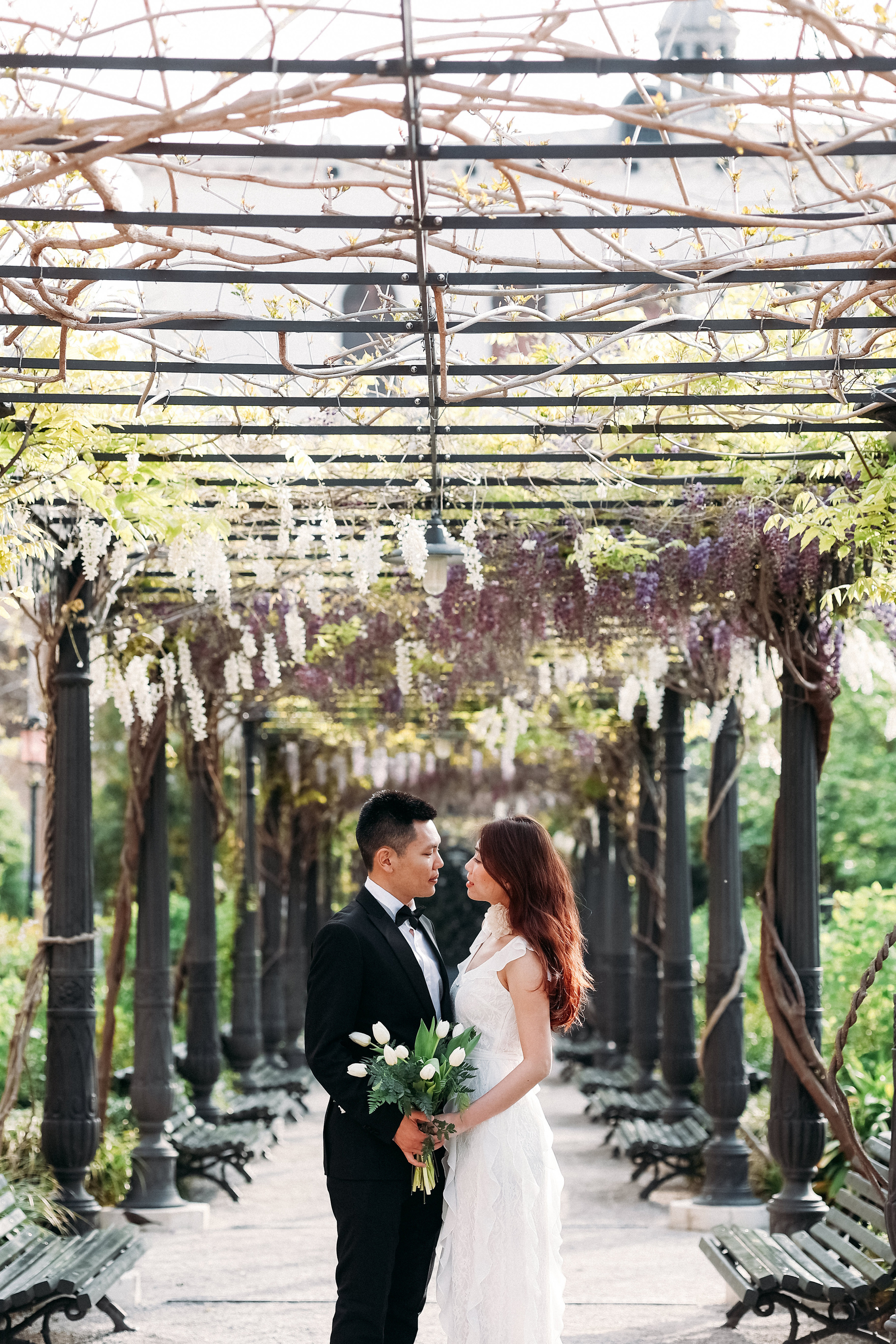 The Royal Gardens of Venice