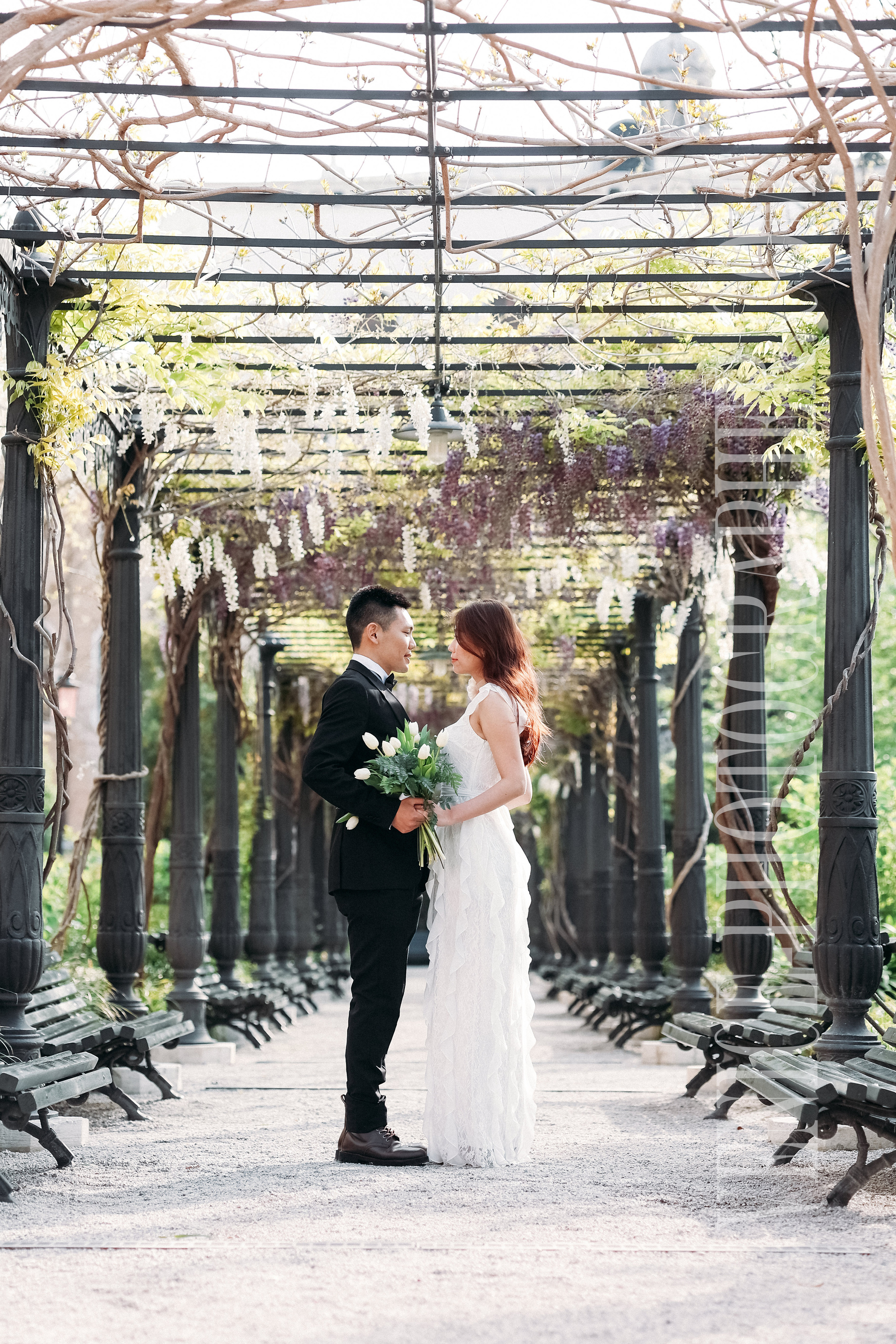 The ancient Royal Gardens of Venice