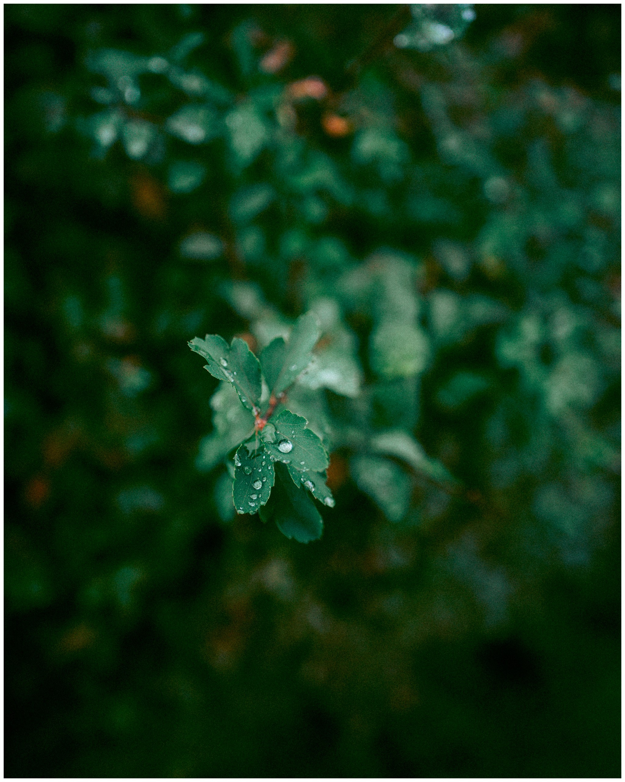 IRELAND. Inna Mendelson — Photographer