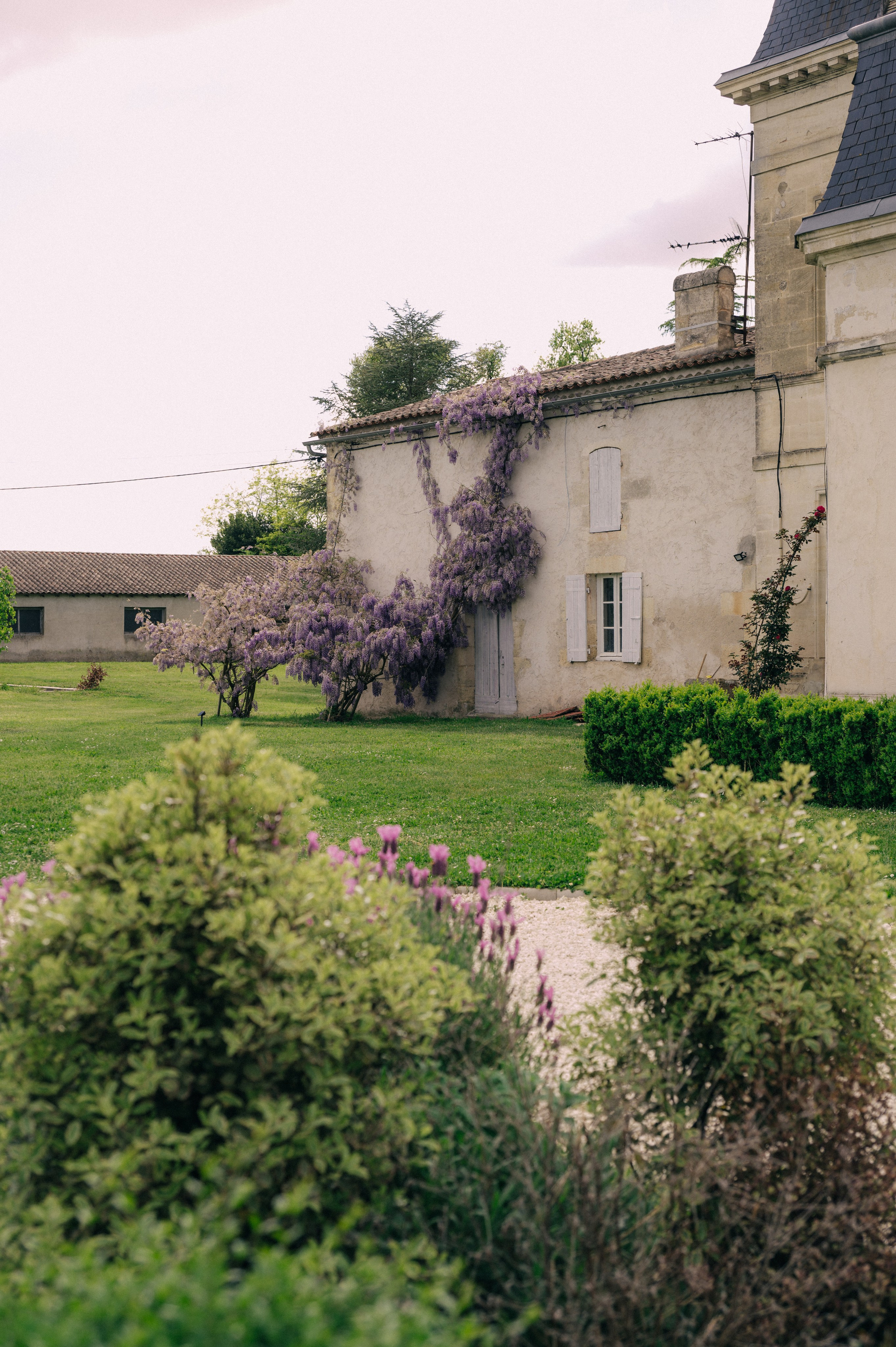 Paula and Tony. Wedding and commercial photographer