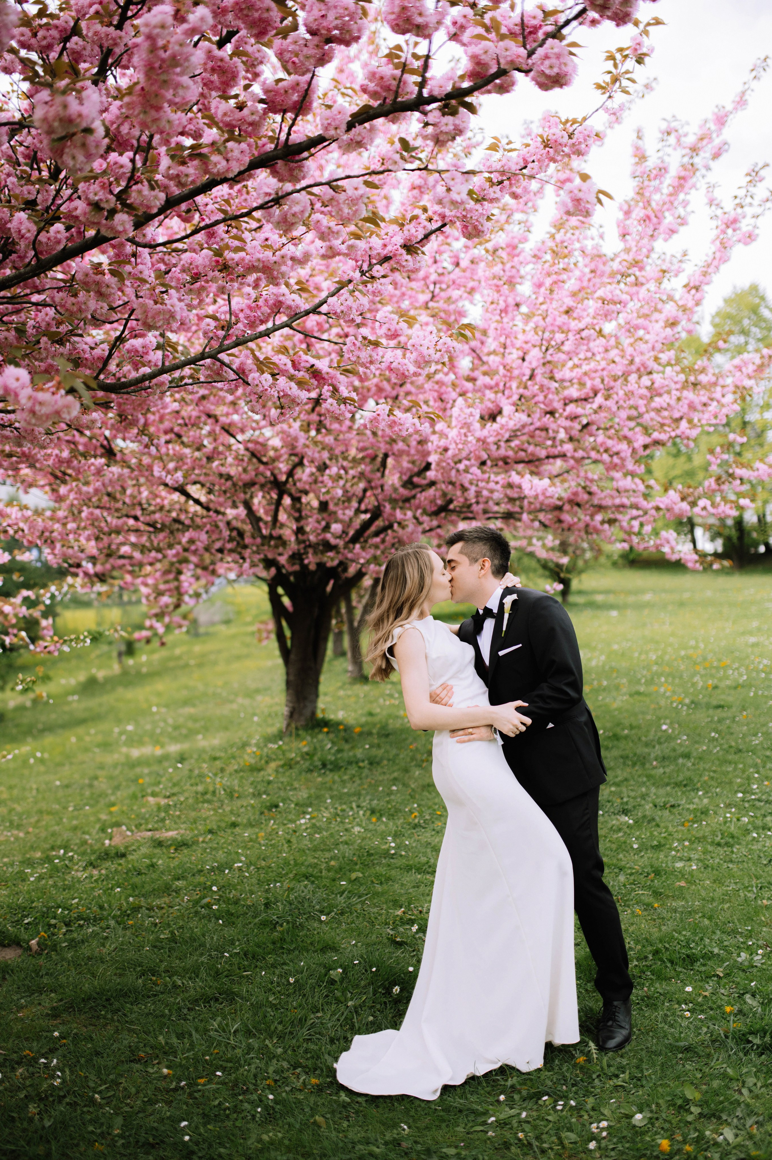 Alfredo i Alina. Home page