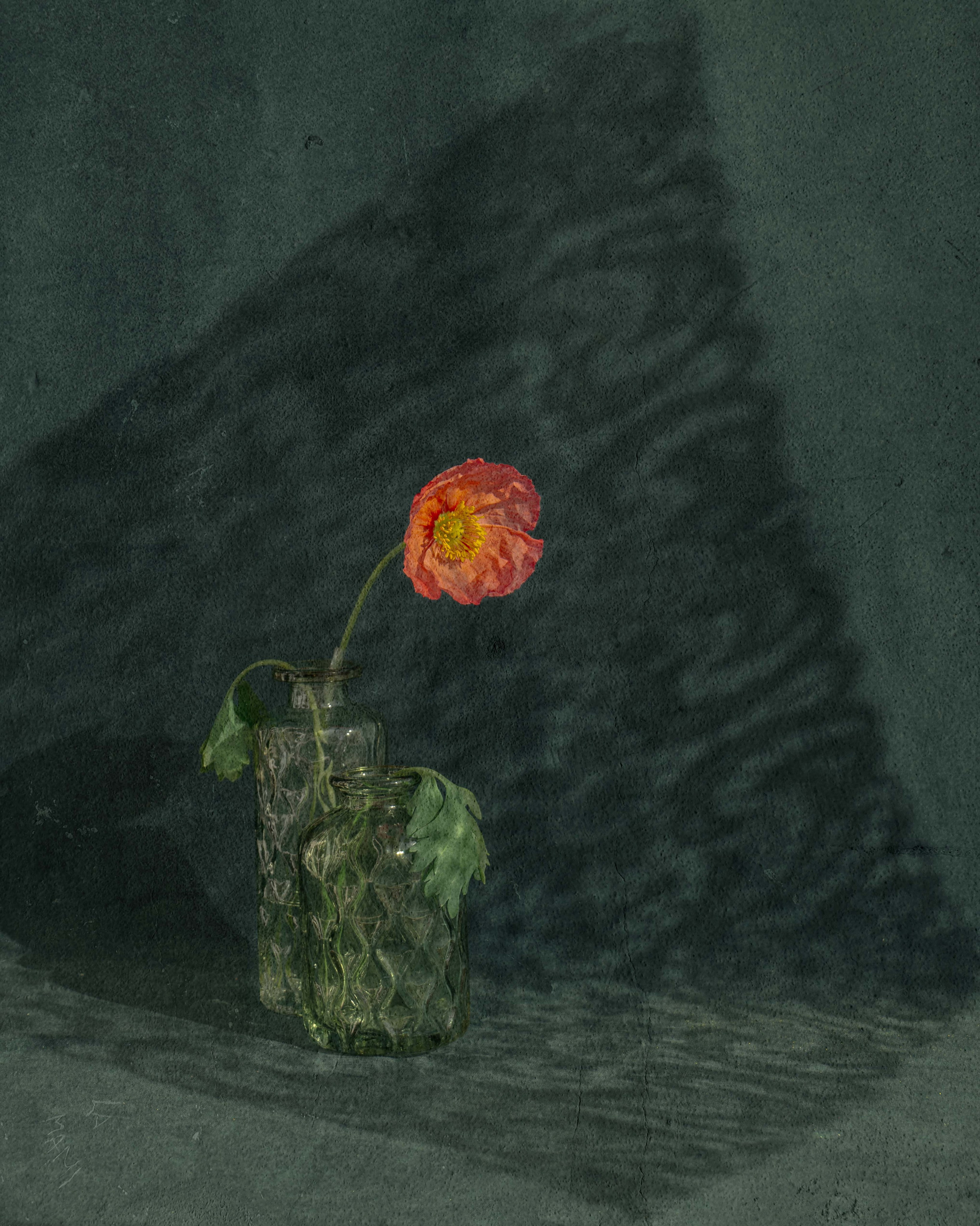 Fine Art photos. Wedding-Family photographer, South of France–Paris, Valentina Acrement