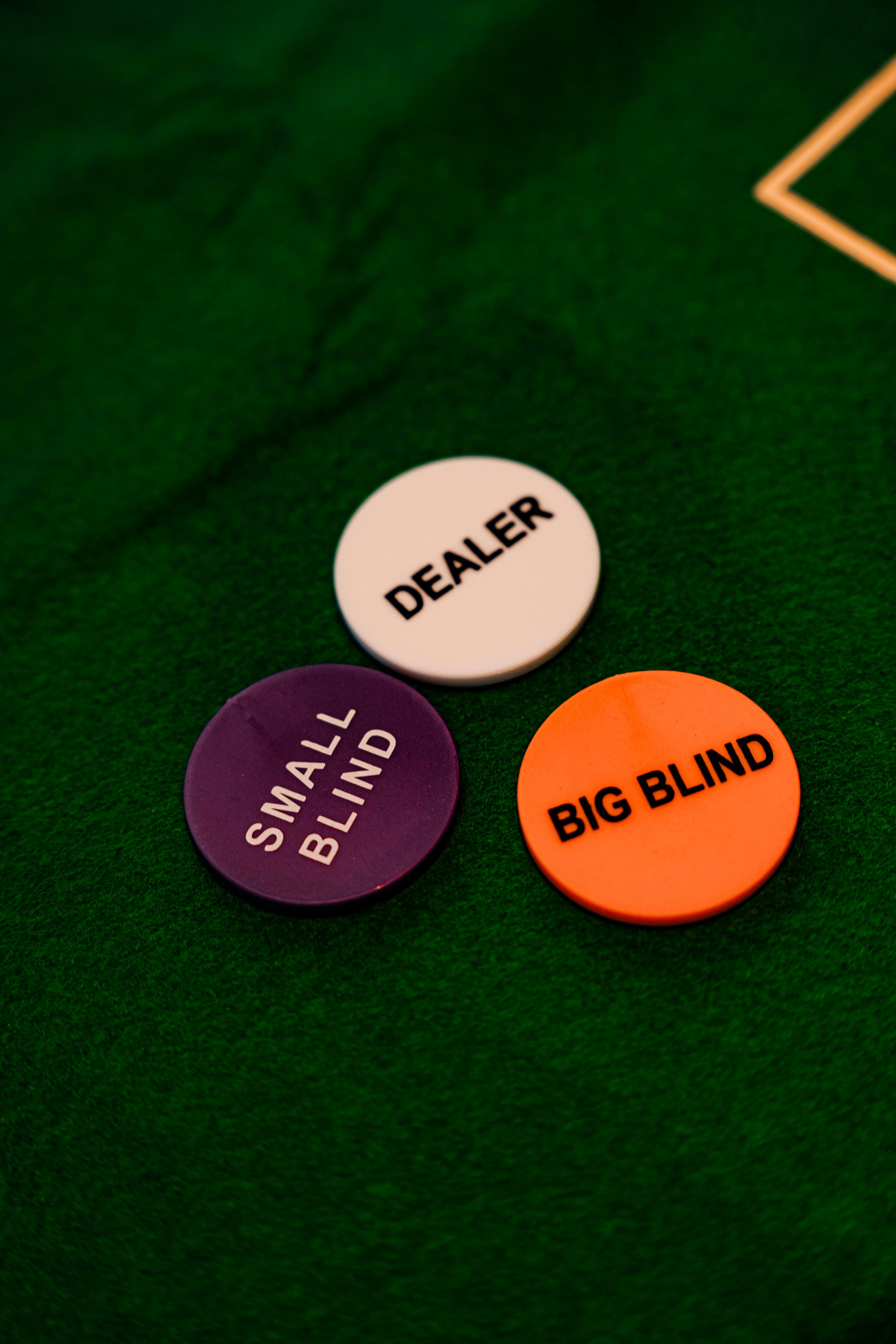 Birthday Party. Tonya Kyrylenko photographer in London