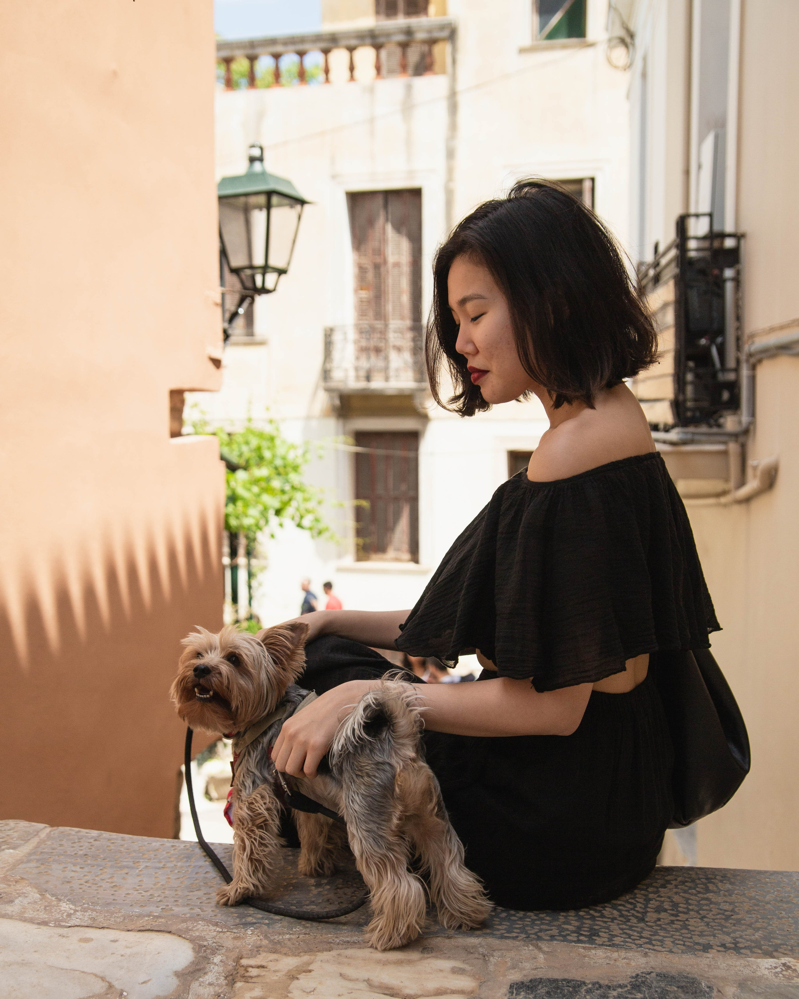 Portrait Session with Your Dog in Athens | Pet Photography