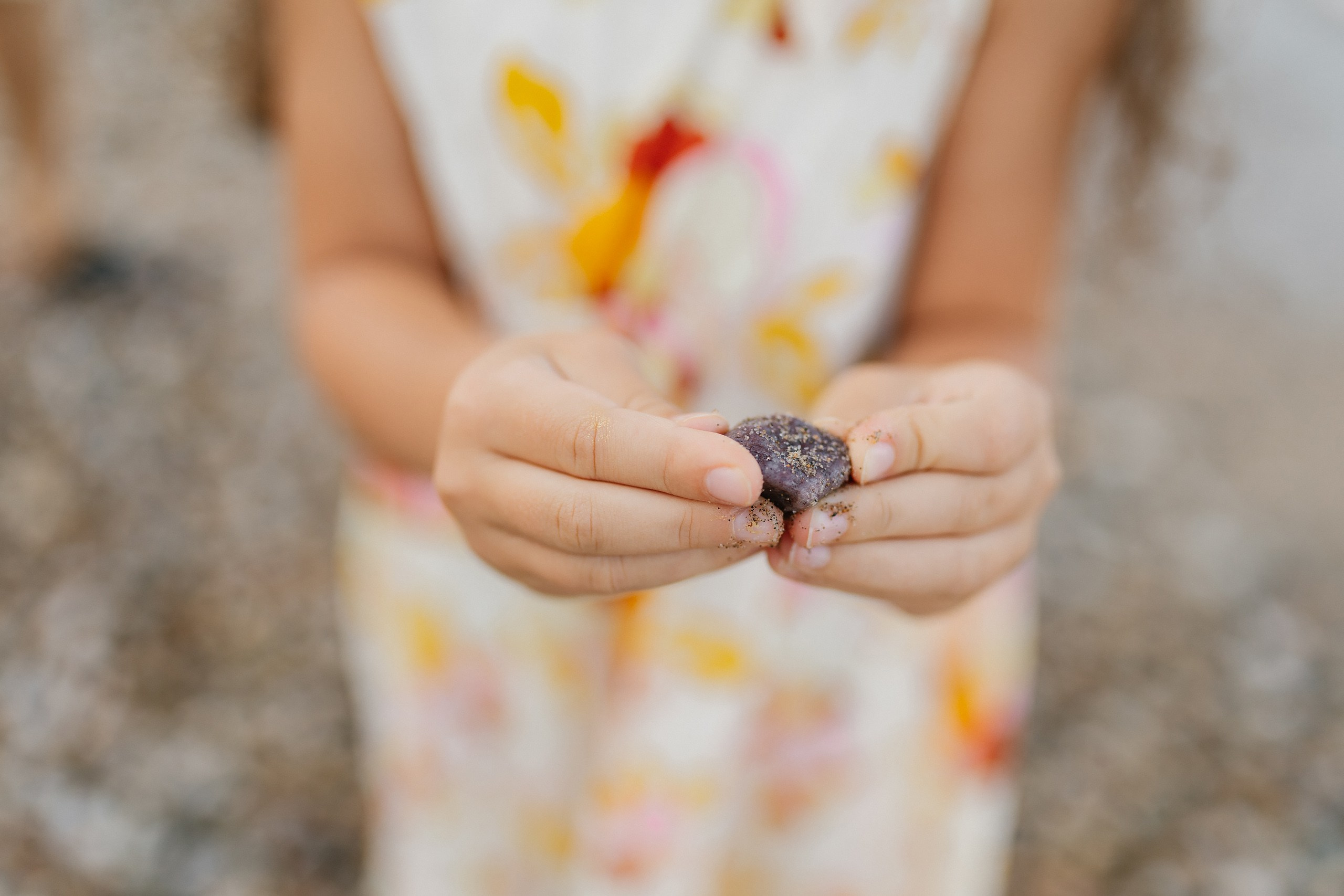 08.17.25 Family Photoshoot. Wedding family event photographer in Chicago Nick Yushevich