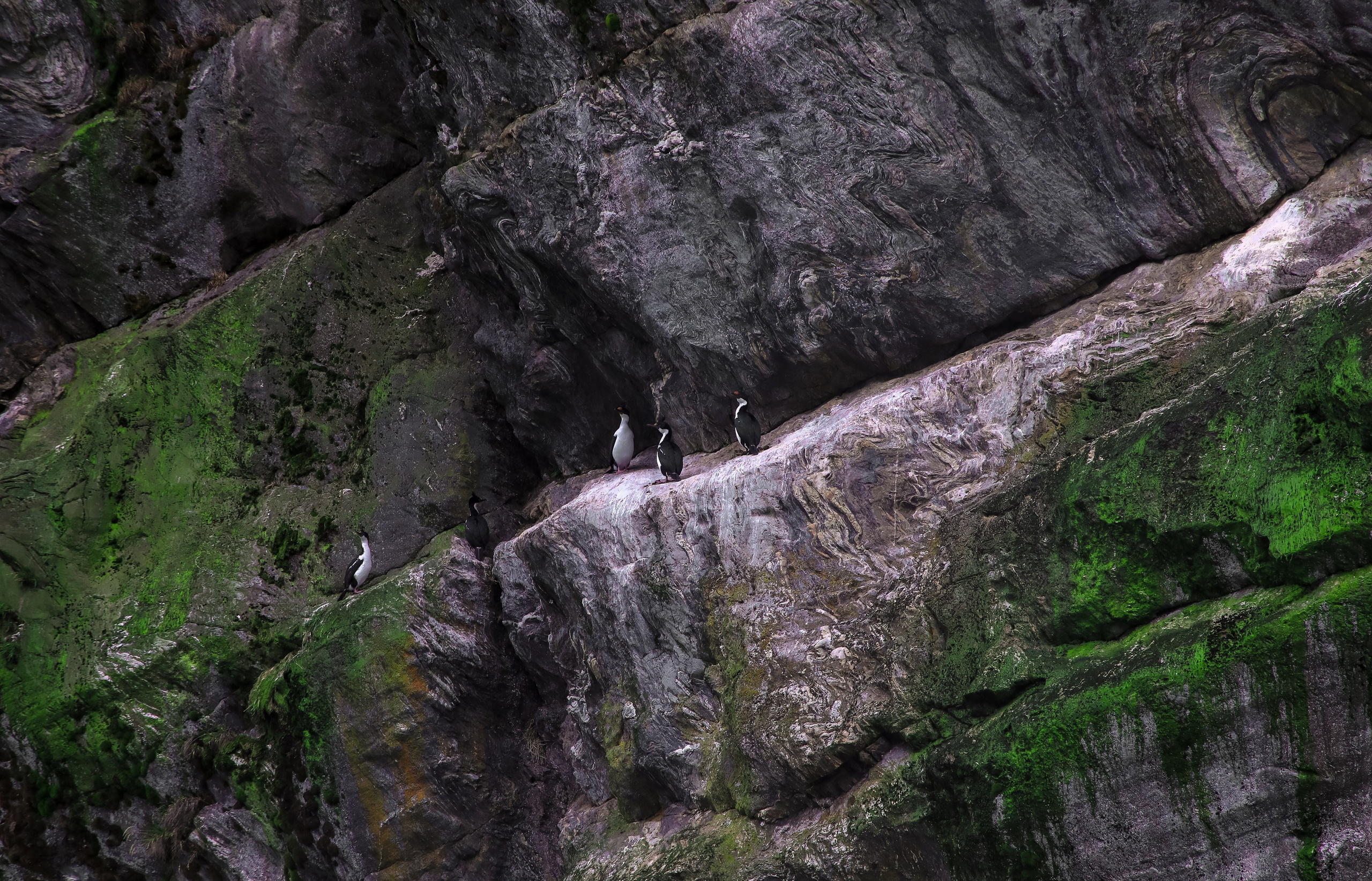 PATAGONIE. Photographe Karen Tatevosian