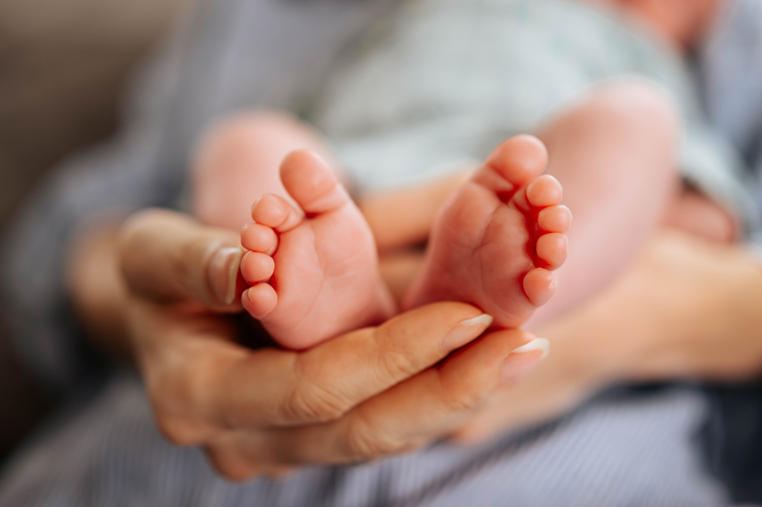 Sanja, Dušan, Teodor i Viktor - porodično fotografisanje. Dečiji i porodični fotograf