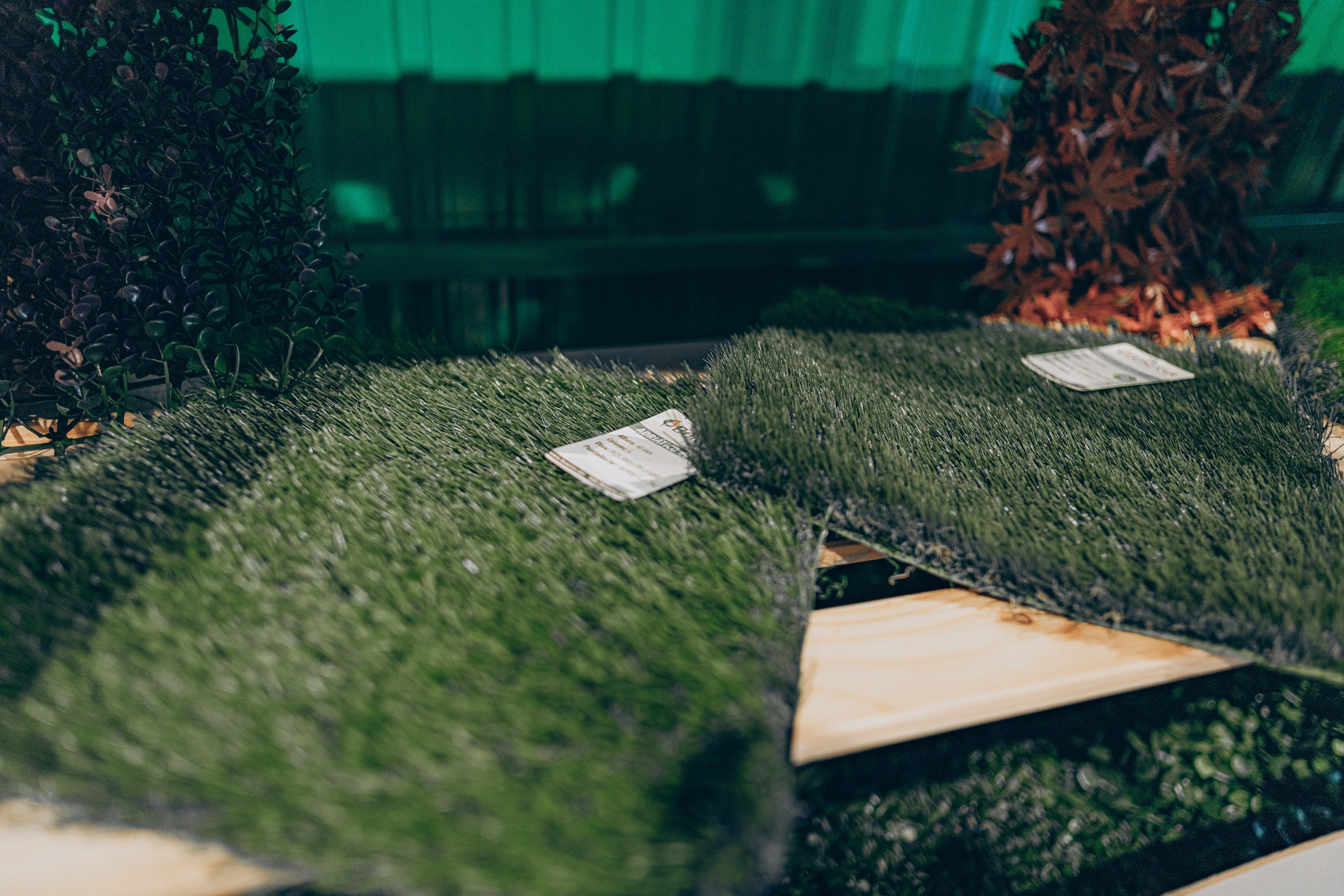 Centro Jardin. Photographer in Mallorca