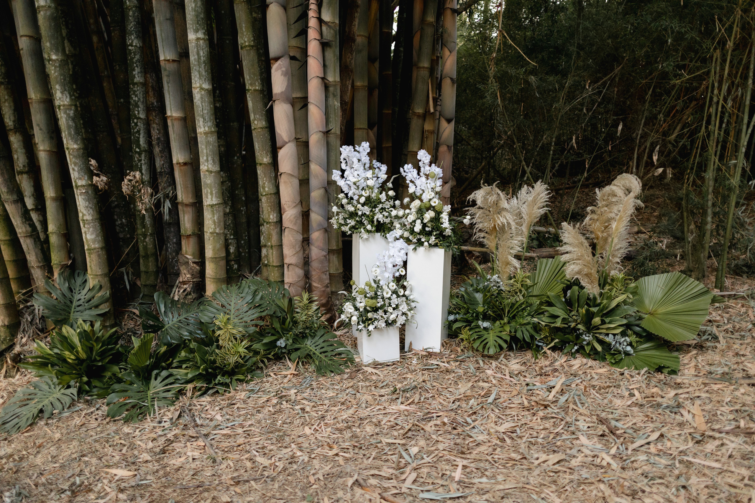 Editorial Dom Brunello