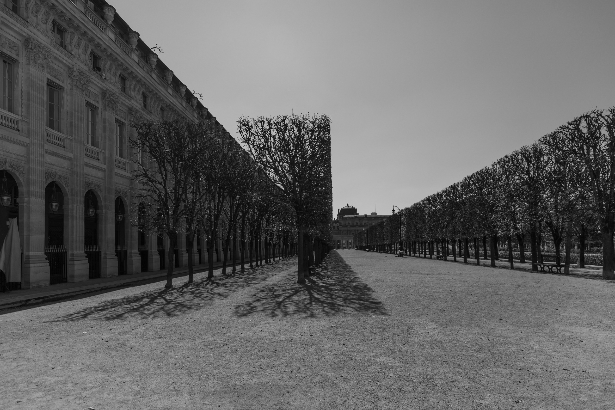 PARIS. Photographe Karen Tatevosian