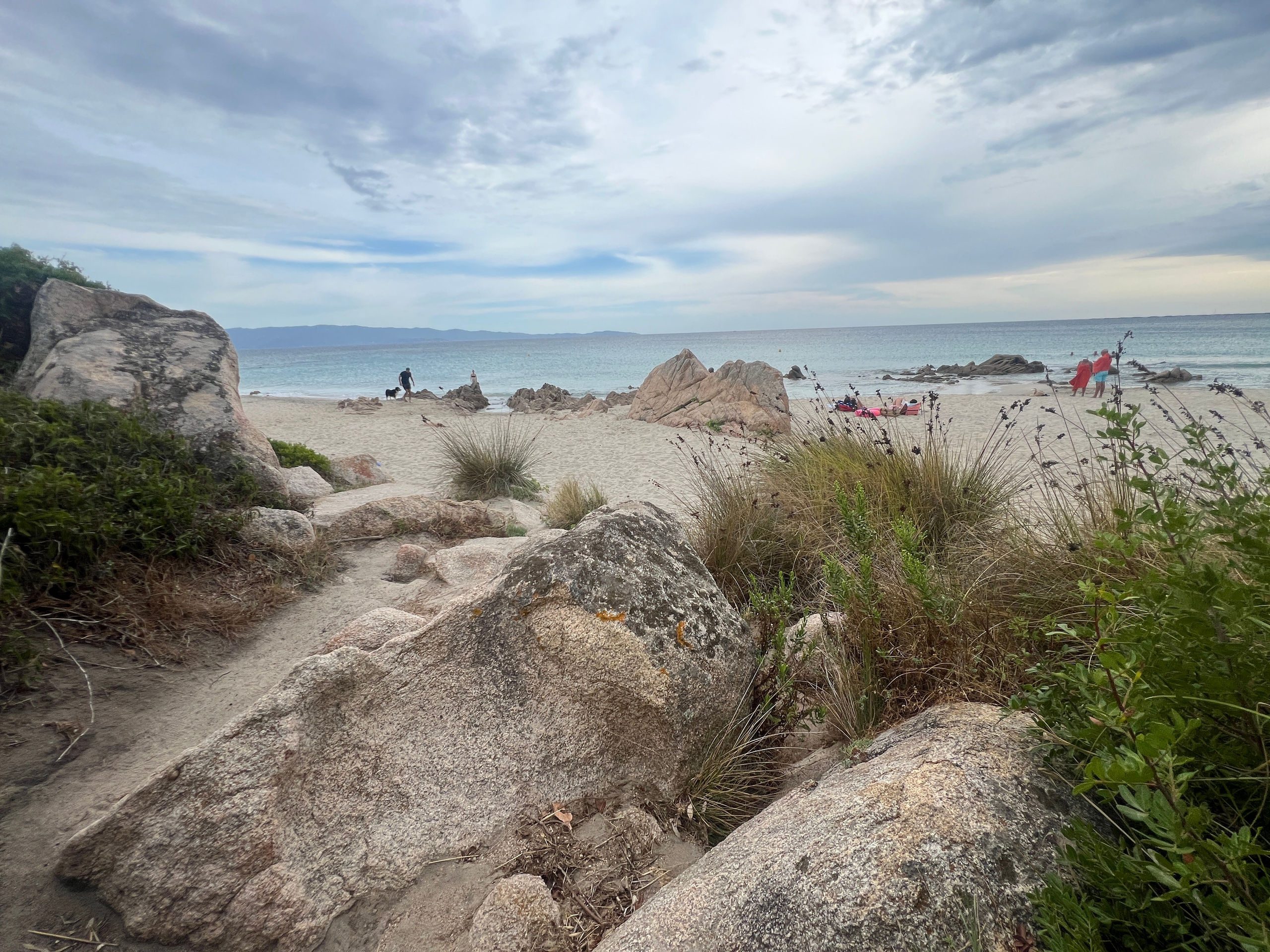 Structure de la synchronisation.2026. Yujoo HONG