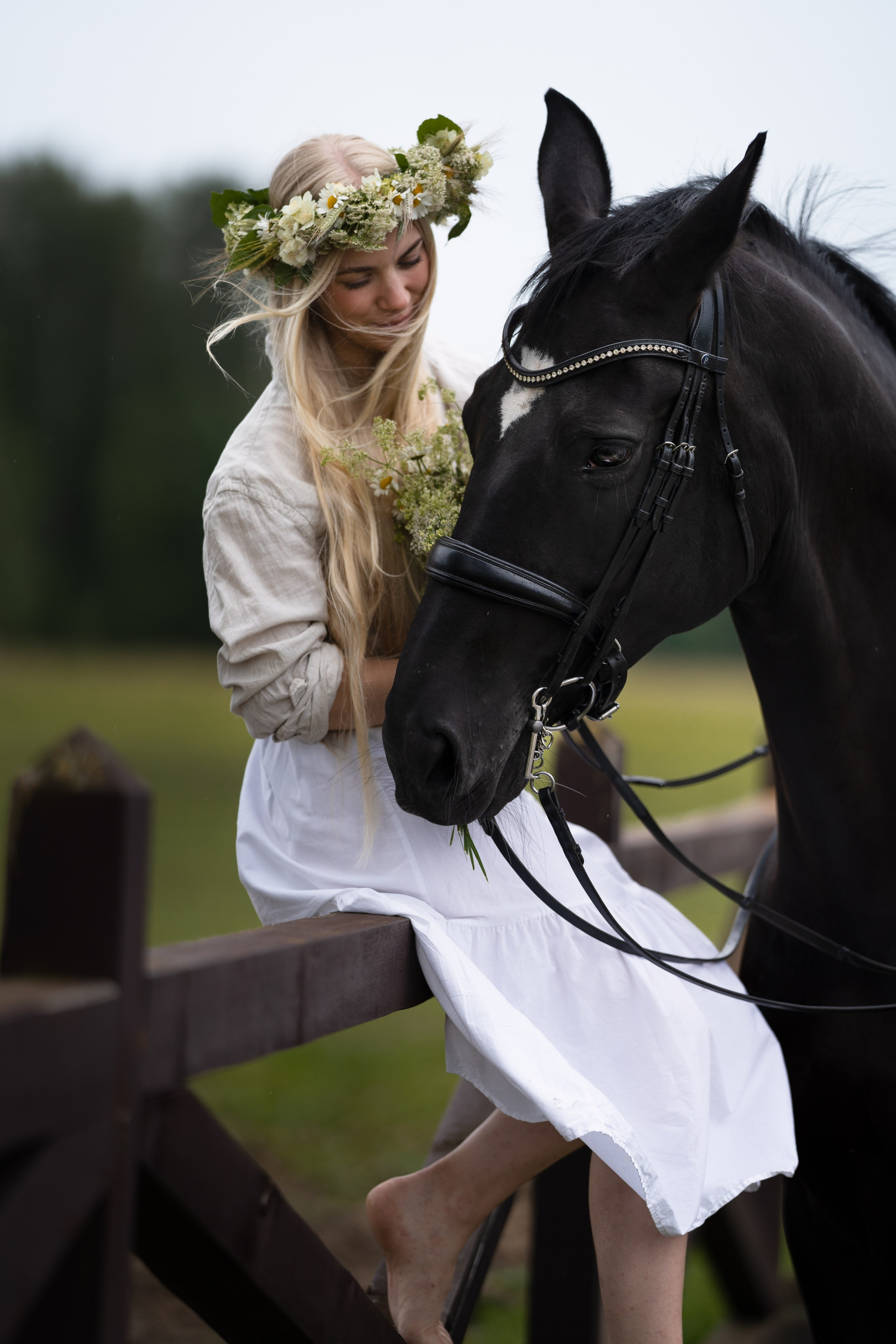 Equestrian art. Sports and portrait photographer in Riga