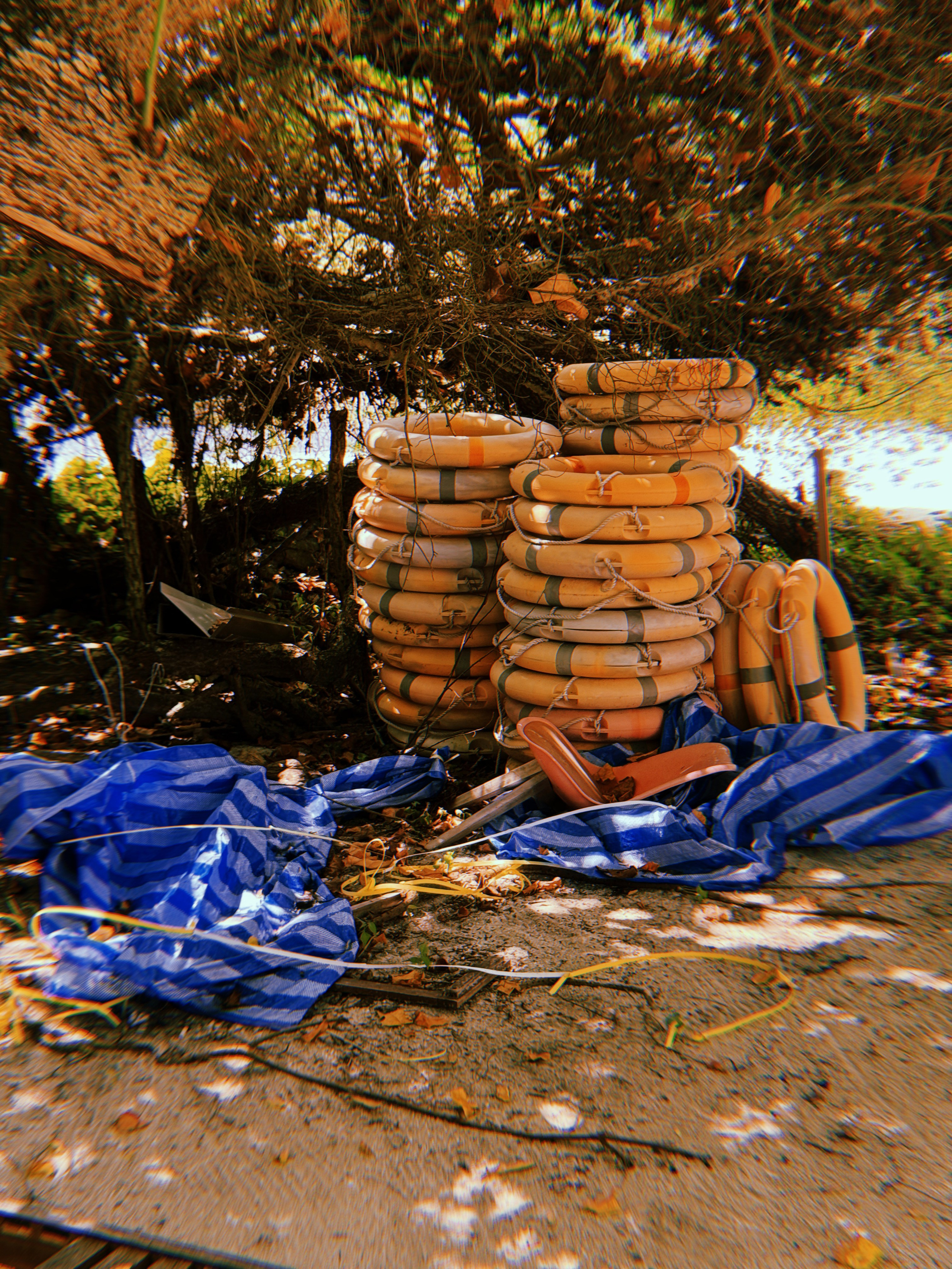 Maldives, Kuda Villingili. BNW Around Photography