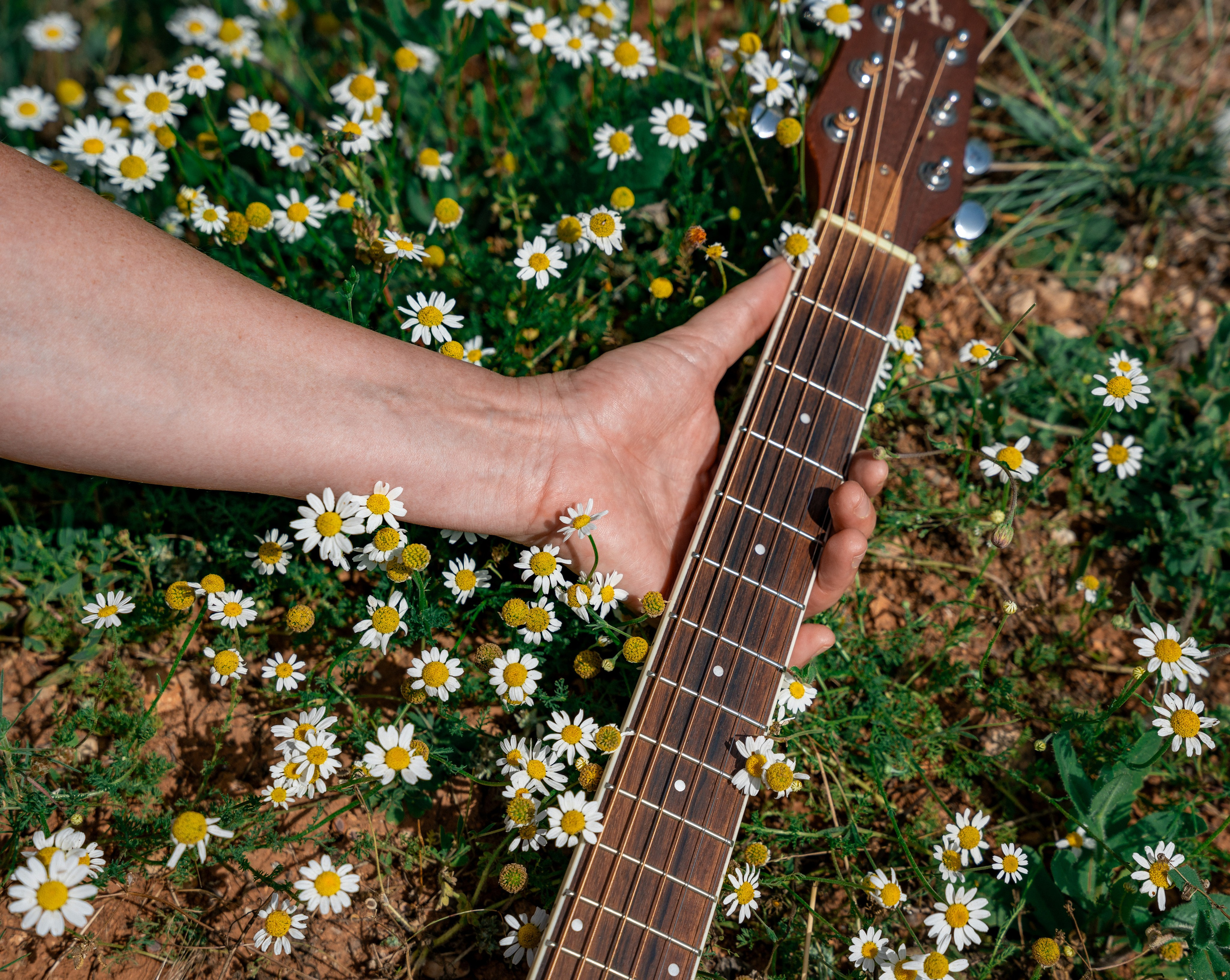 LIKA (ZEYTIN PARK). UNRATED PHOTO