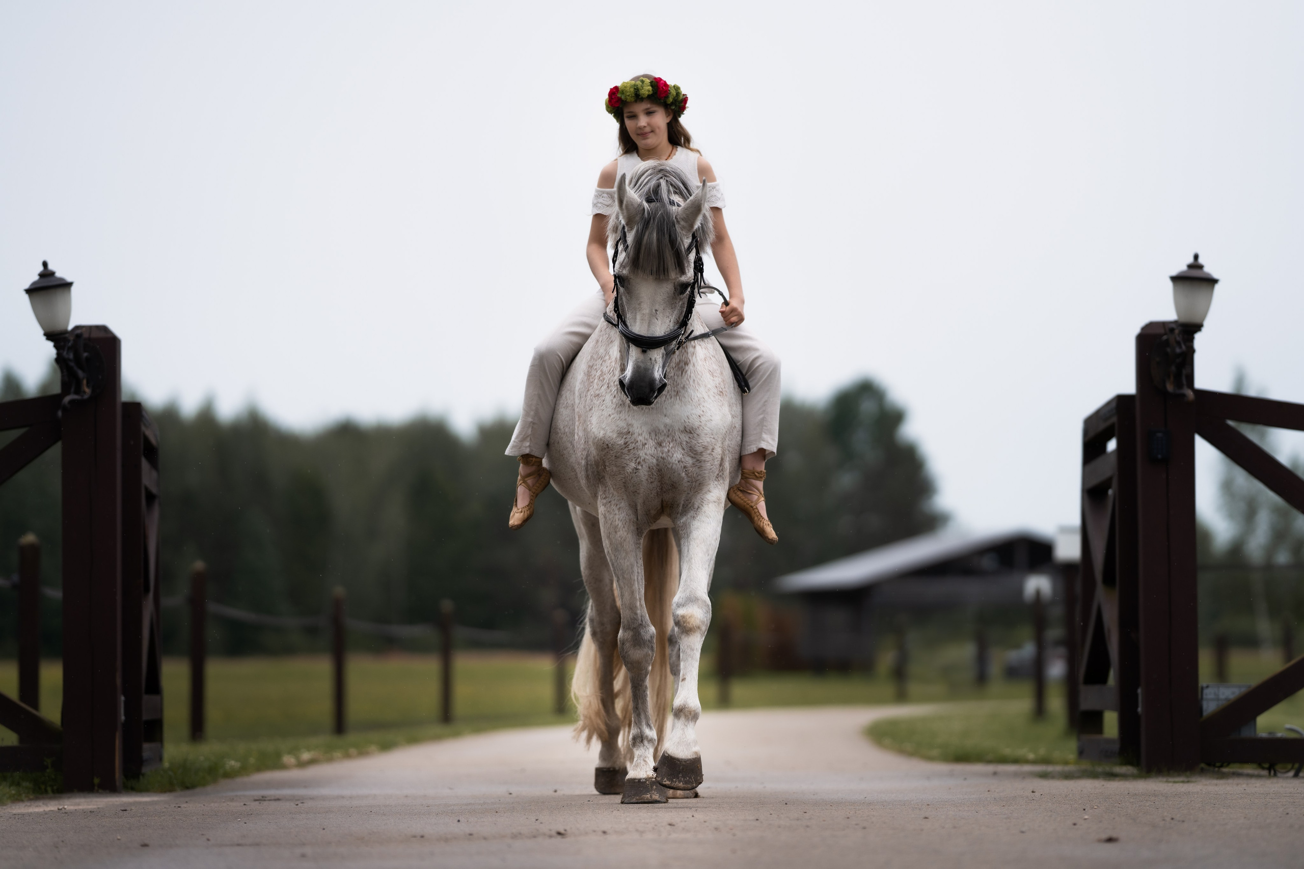 Horse Experience. Sports and portrait photographer in Riga