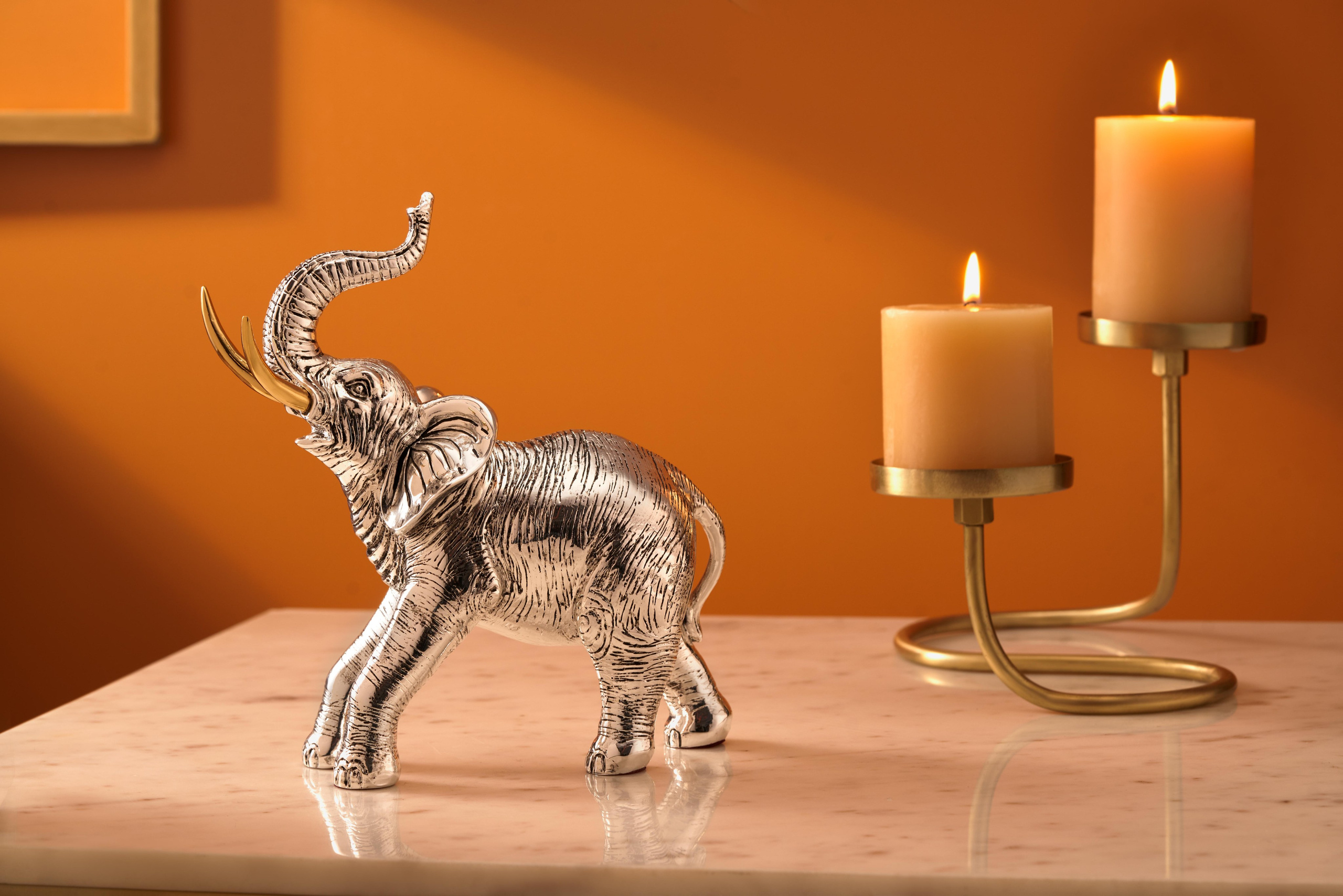 Contact. Mohit Holani | Director