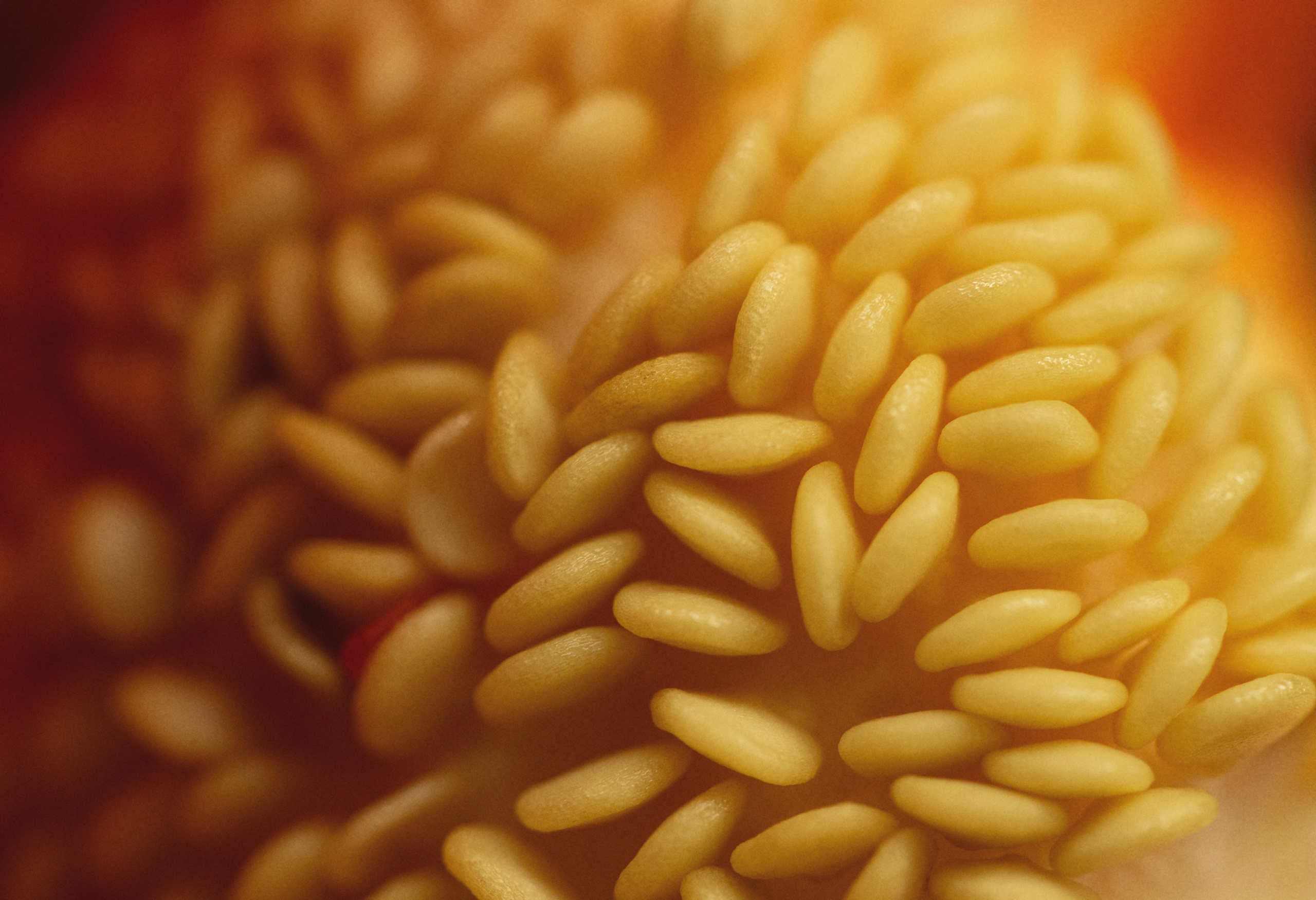 Food & Beverages Photography | Michael Myatlev — Stunning Visuals for Culinary Brands