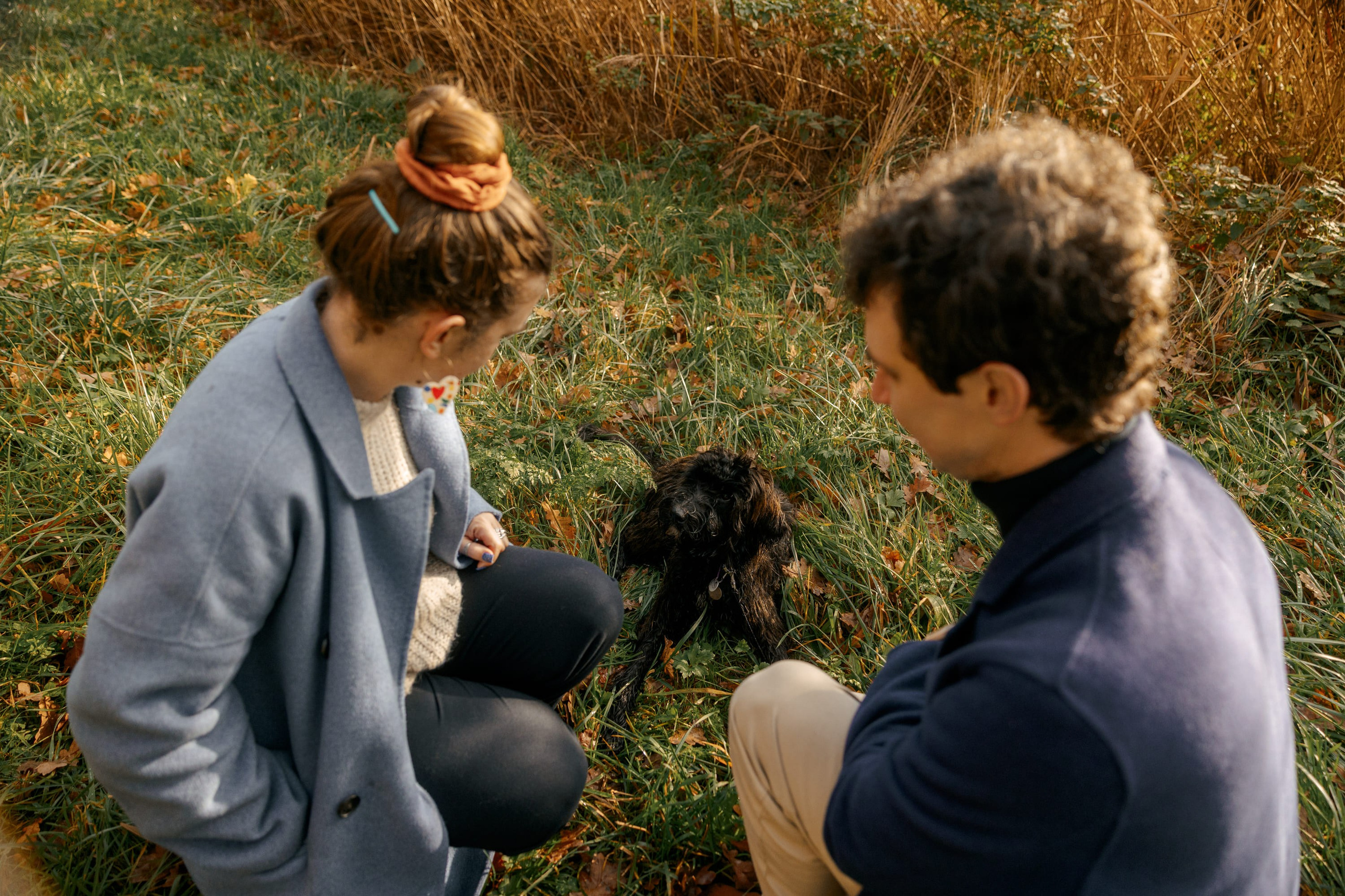 Pet Photoshoot in Spijkenisse | Rotterdam. Romantic & Soulful Photography by Natalia Olhova in Rotterdam