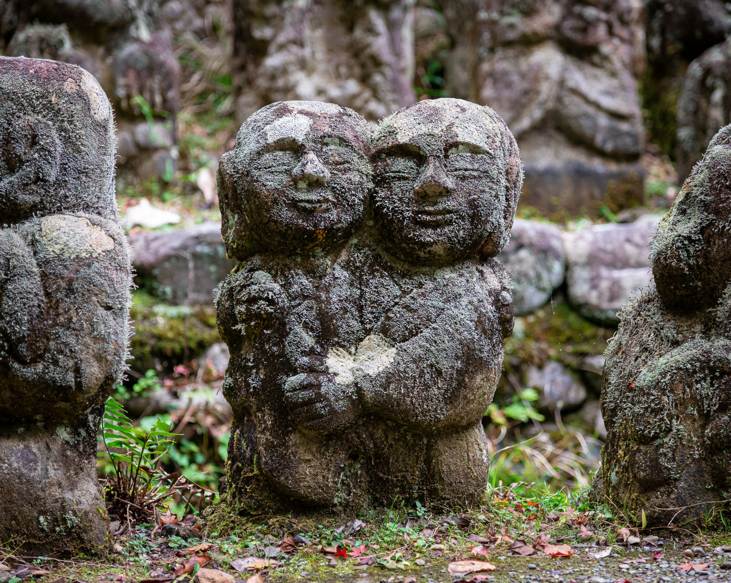 Japan. Marius Ciocan