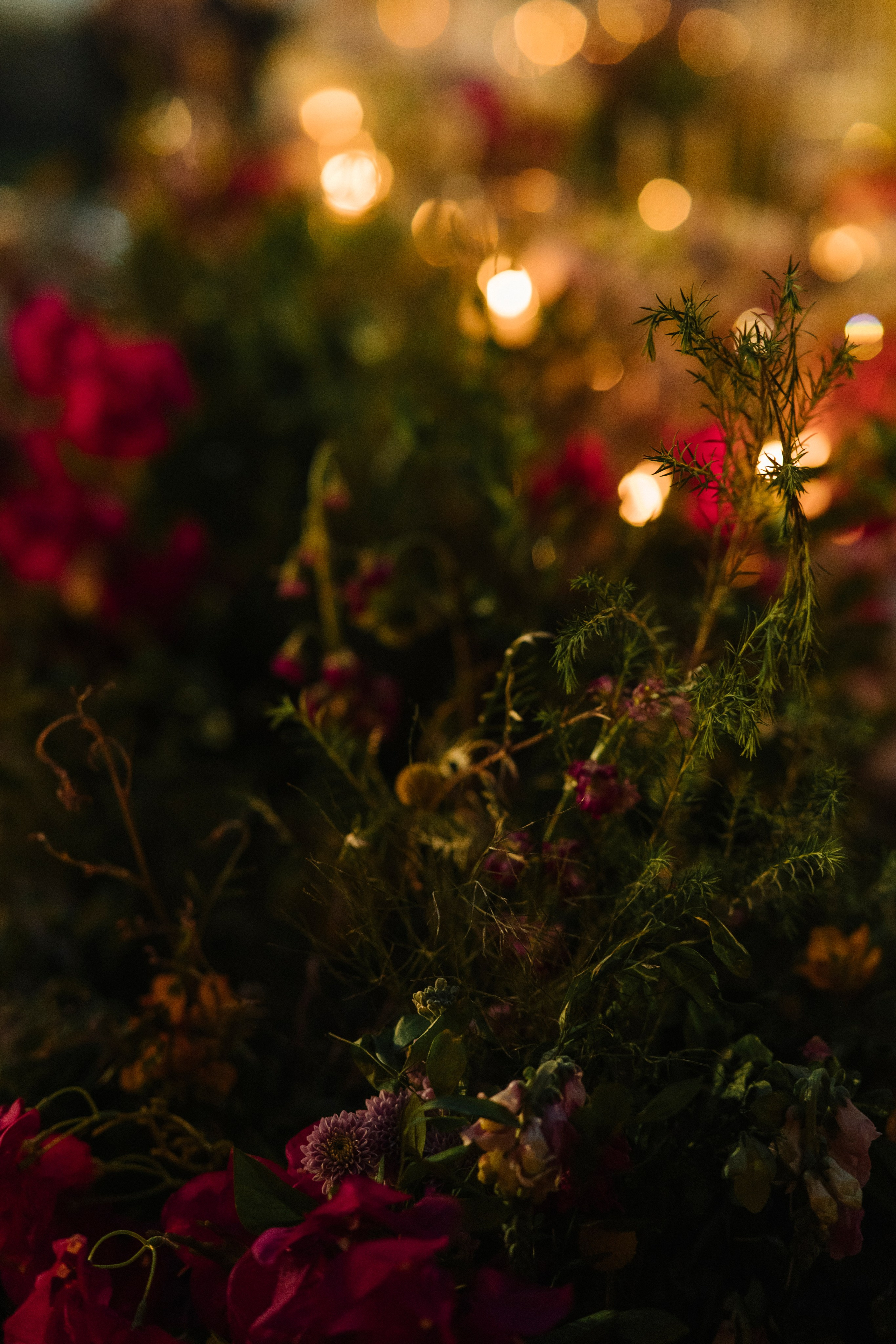 Tizate Sea Garden. Wedding photographer Mexico Sayulita Puerto Vallarta Punta Mita Cabo
