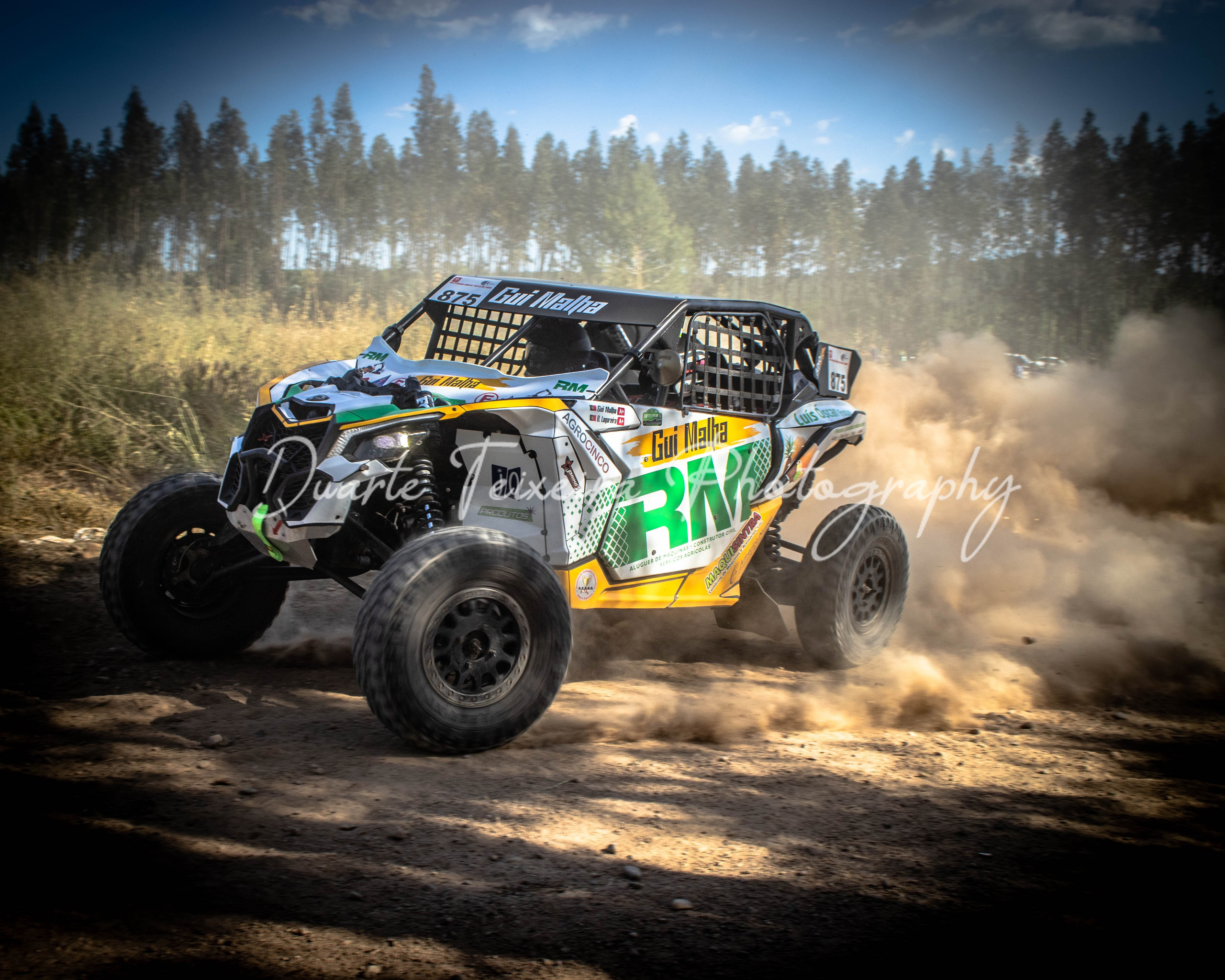 #875 Guilherme Malha / Dino Lagareiro