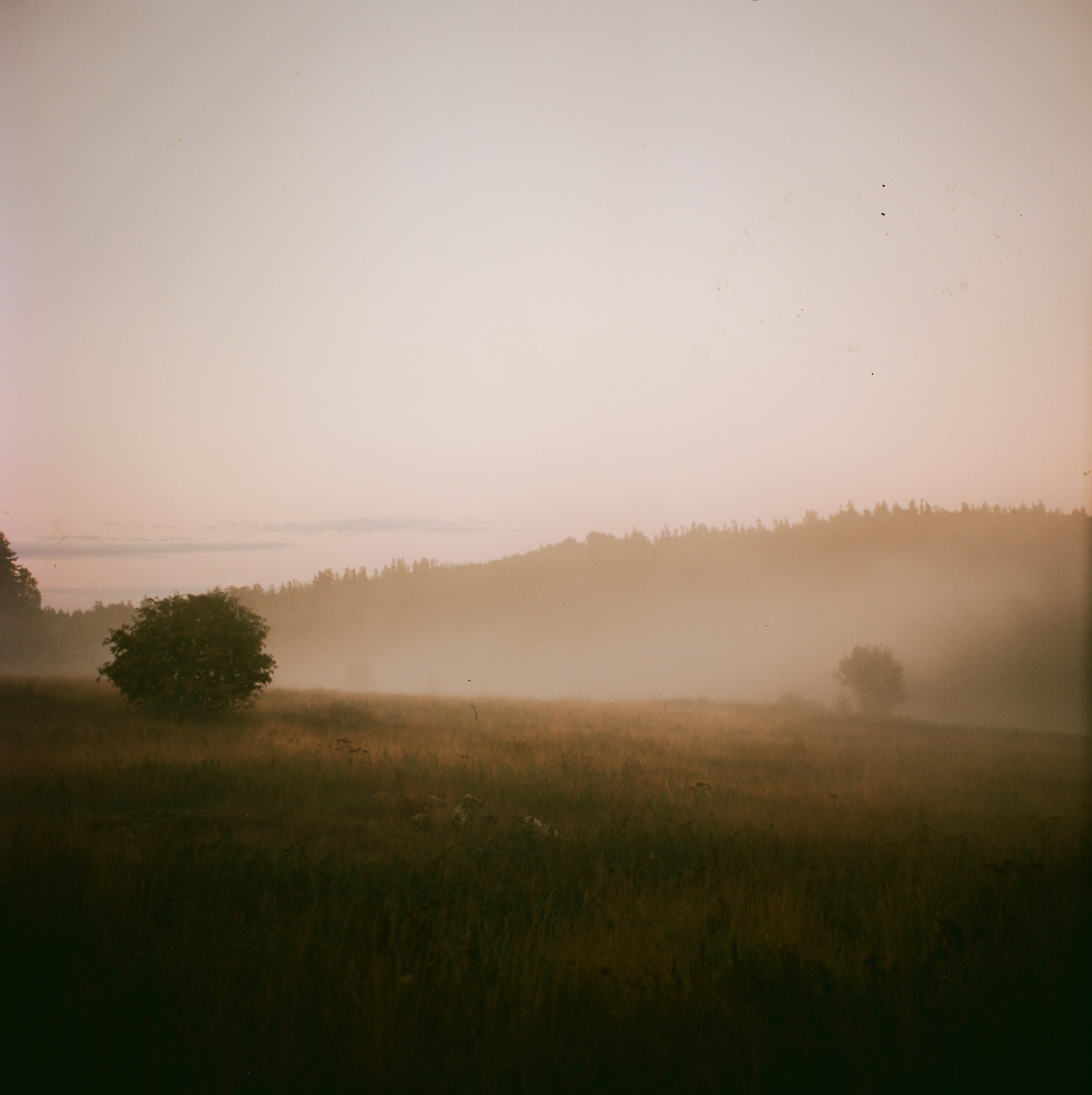 Landscapes. Map of the Borderlands